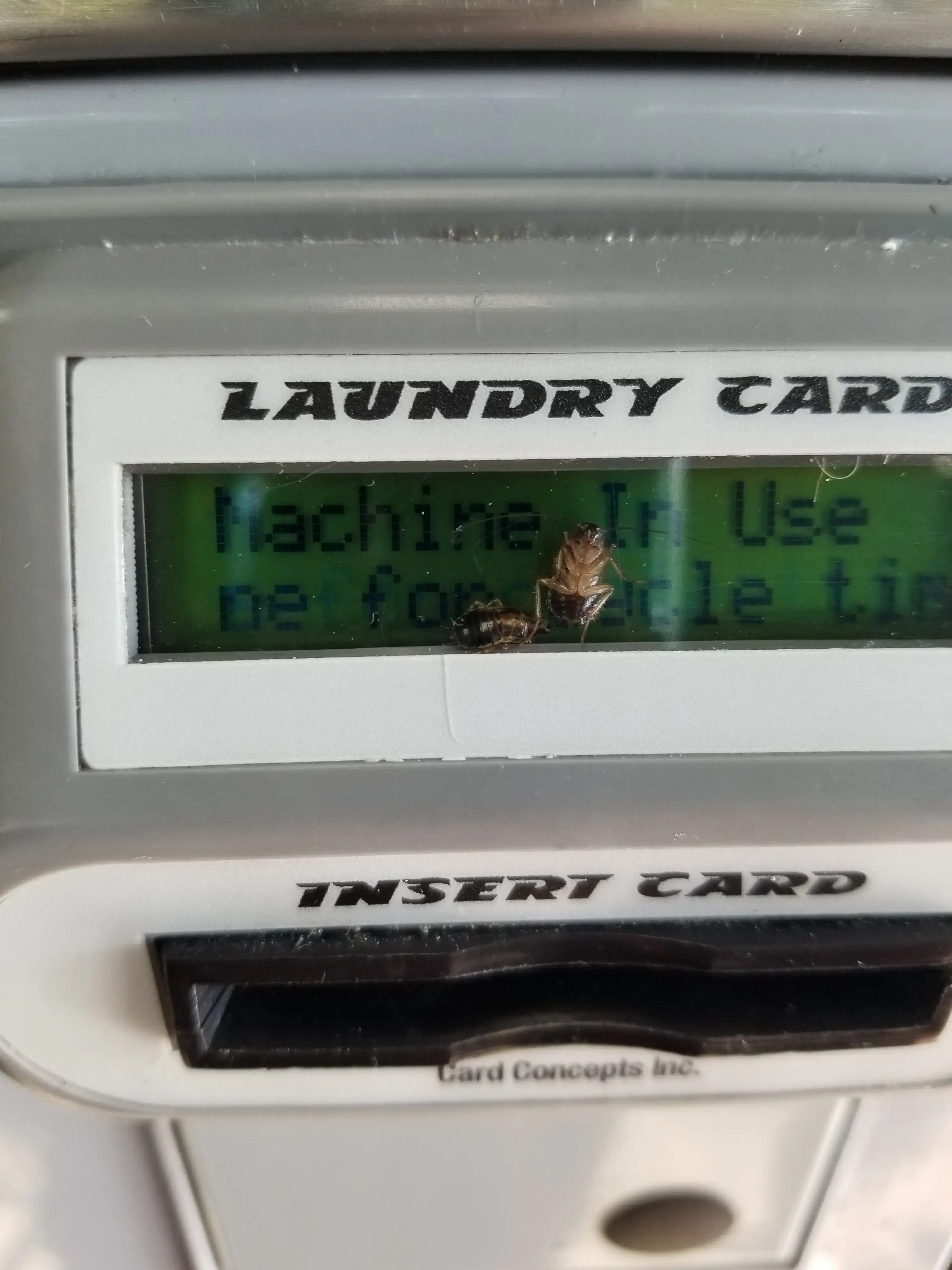 Wash World Laundry thumbnail 19