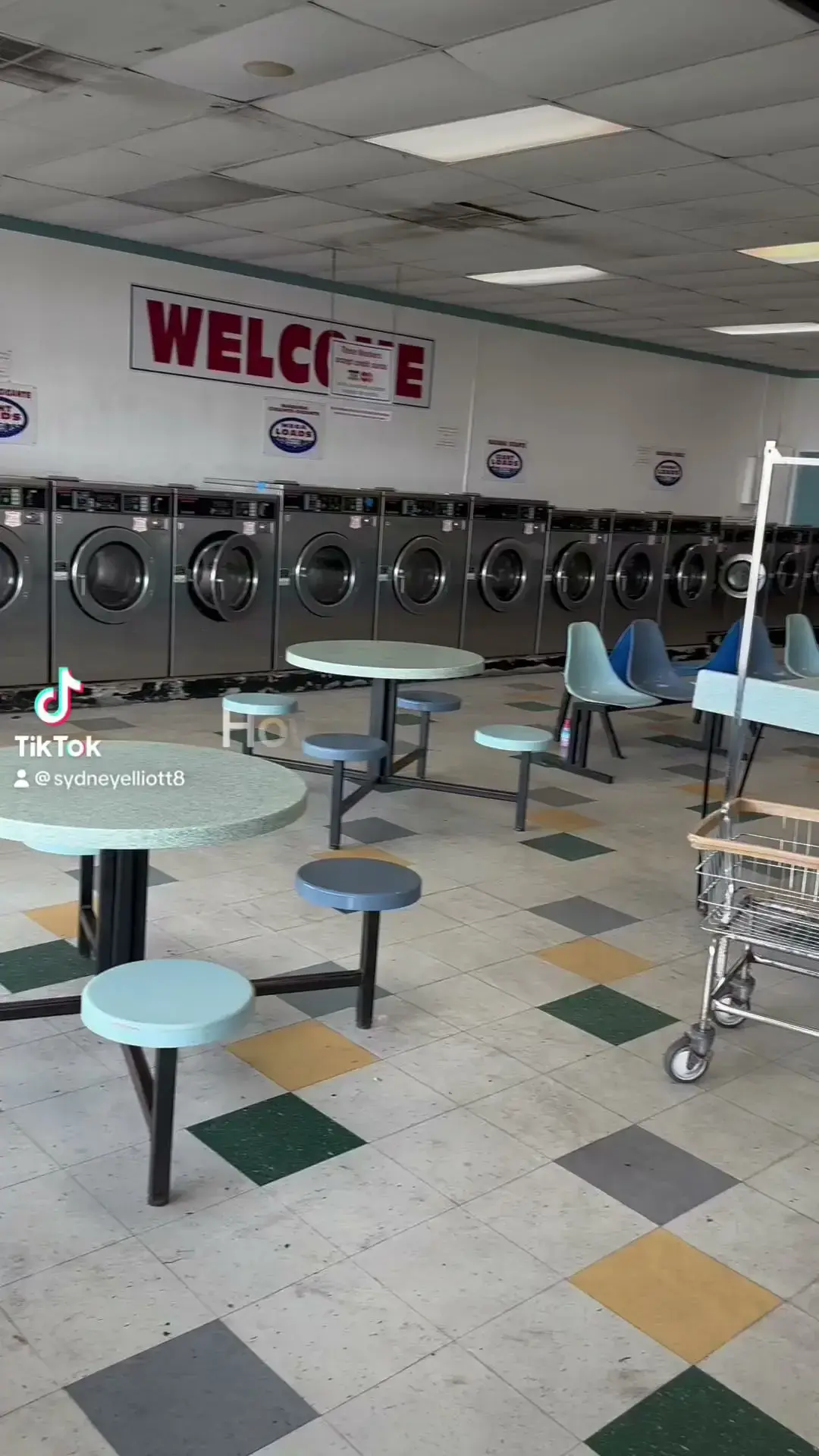 Wash Your Dundees Laundromat thumbnail 2