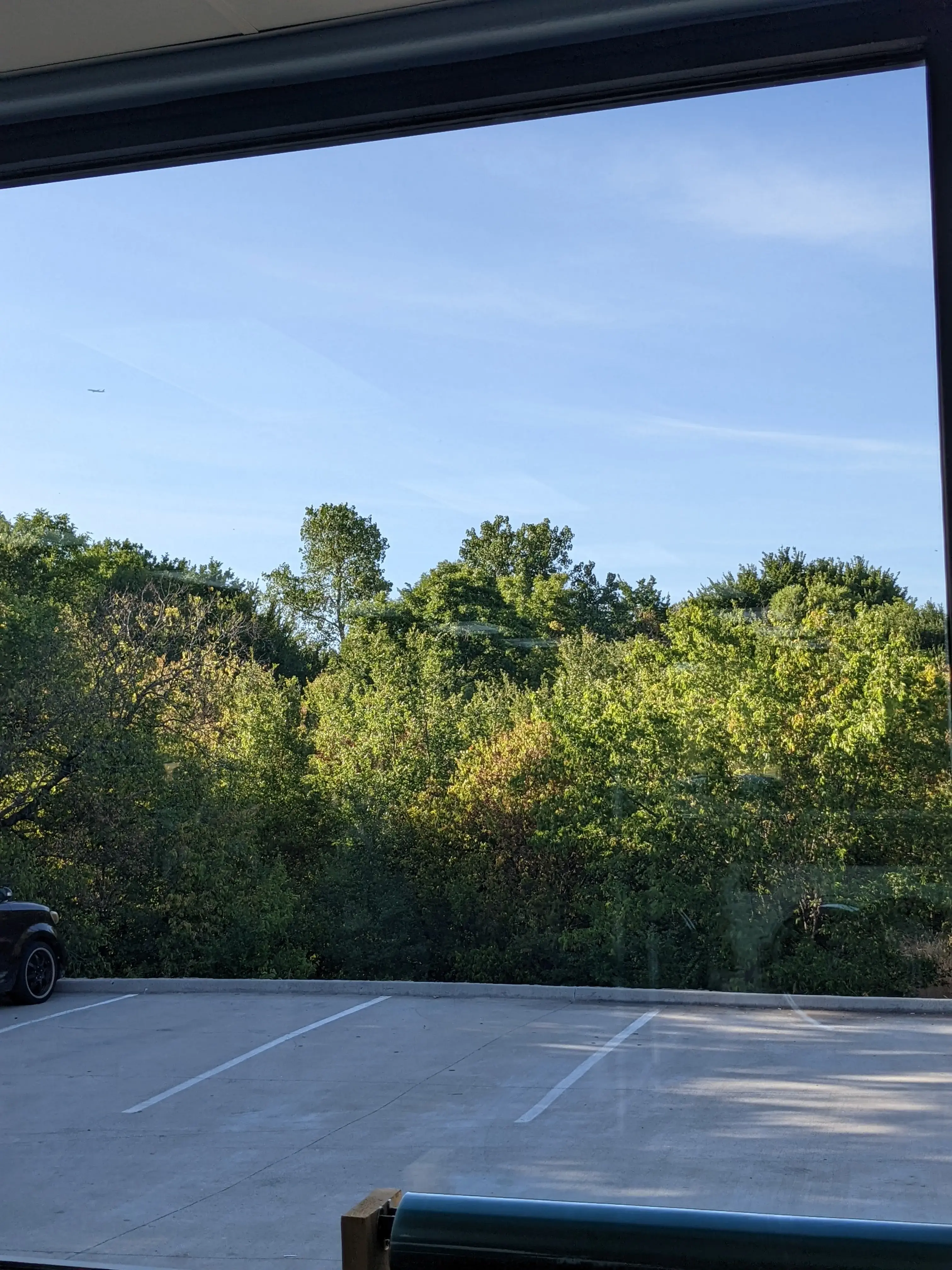 Wash Zone - Image 16