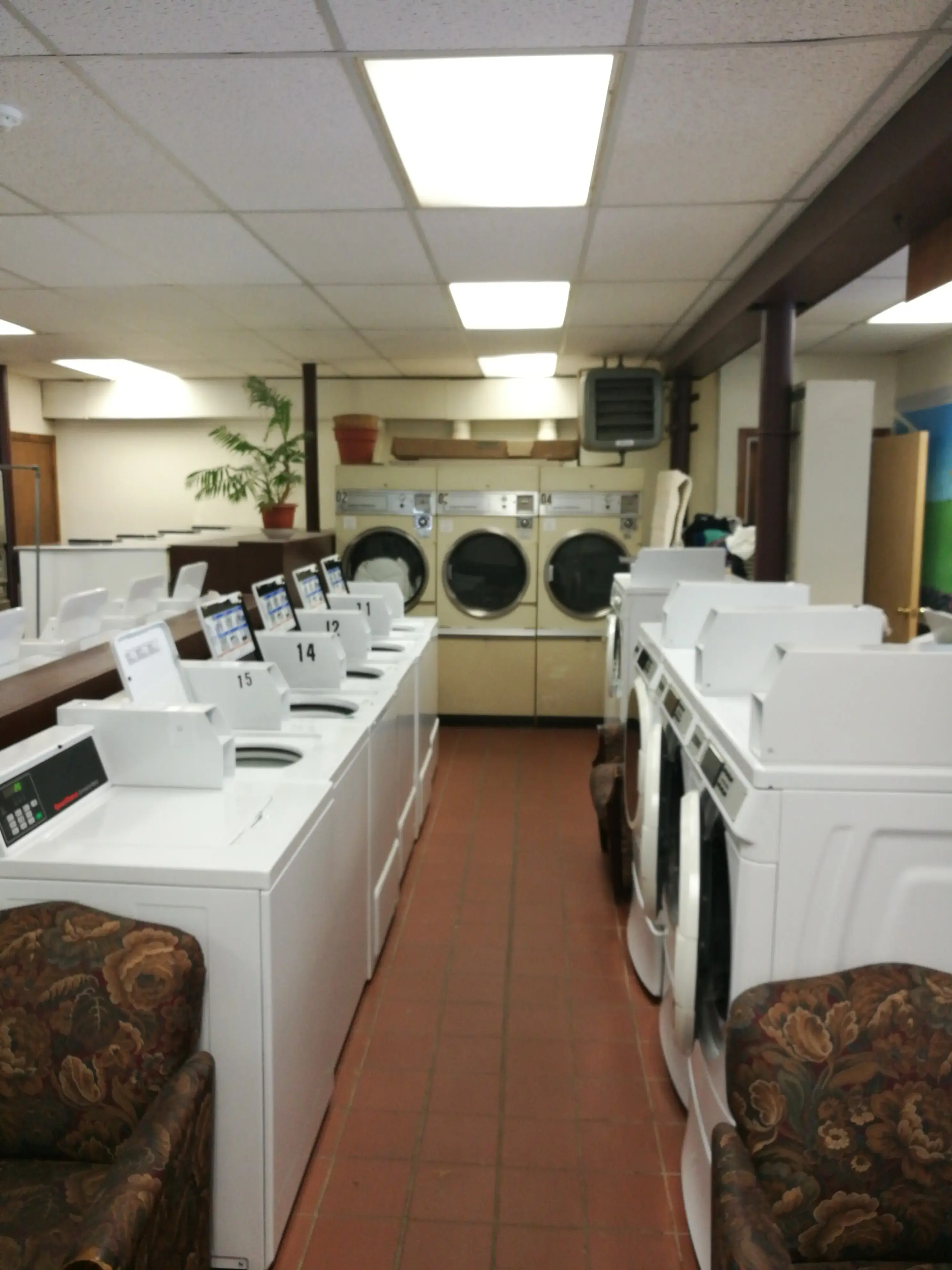Washerwoman of Litchfield thumbnail 6