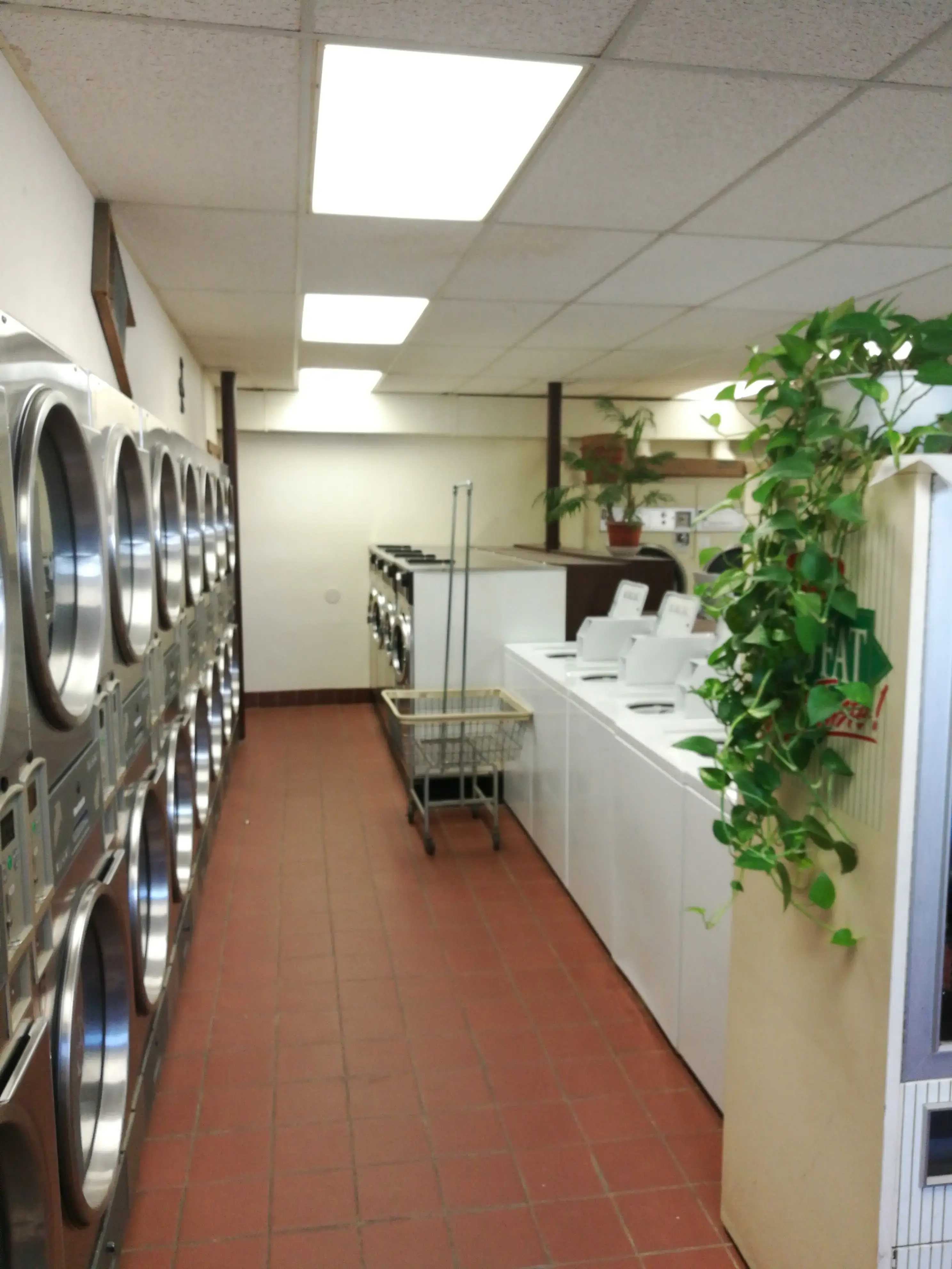 Washerwoman of Litchfield - Image 1