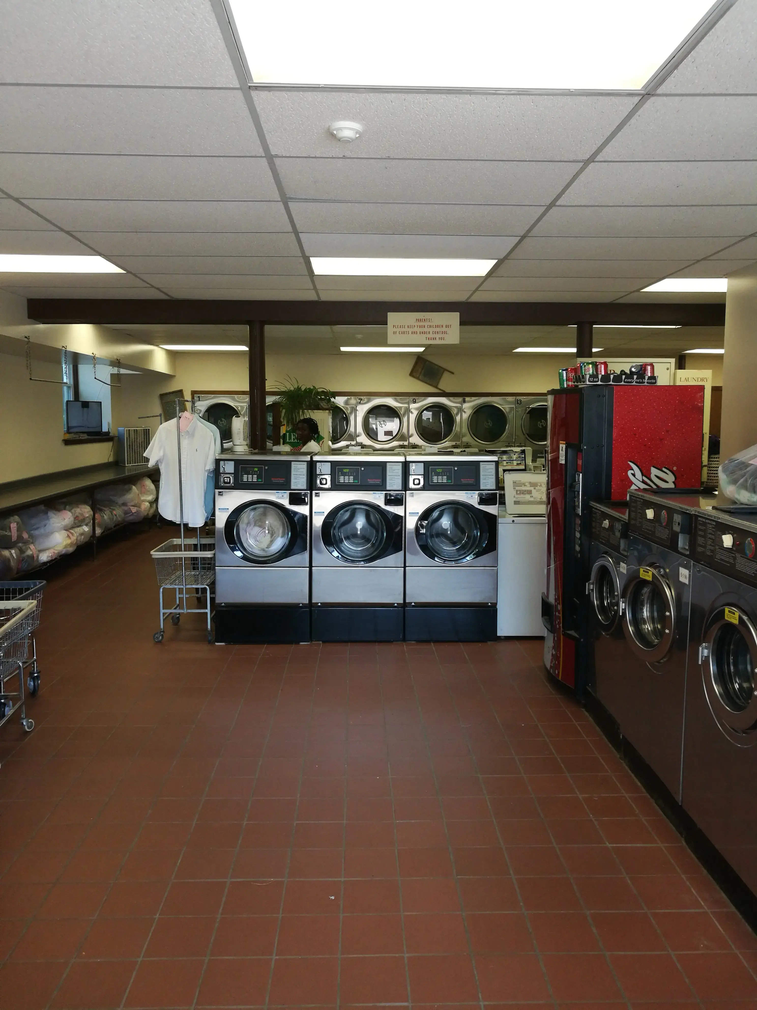 Washerwoman of Litchfield - Image 3