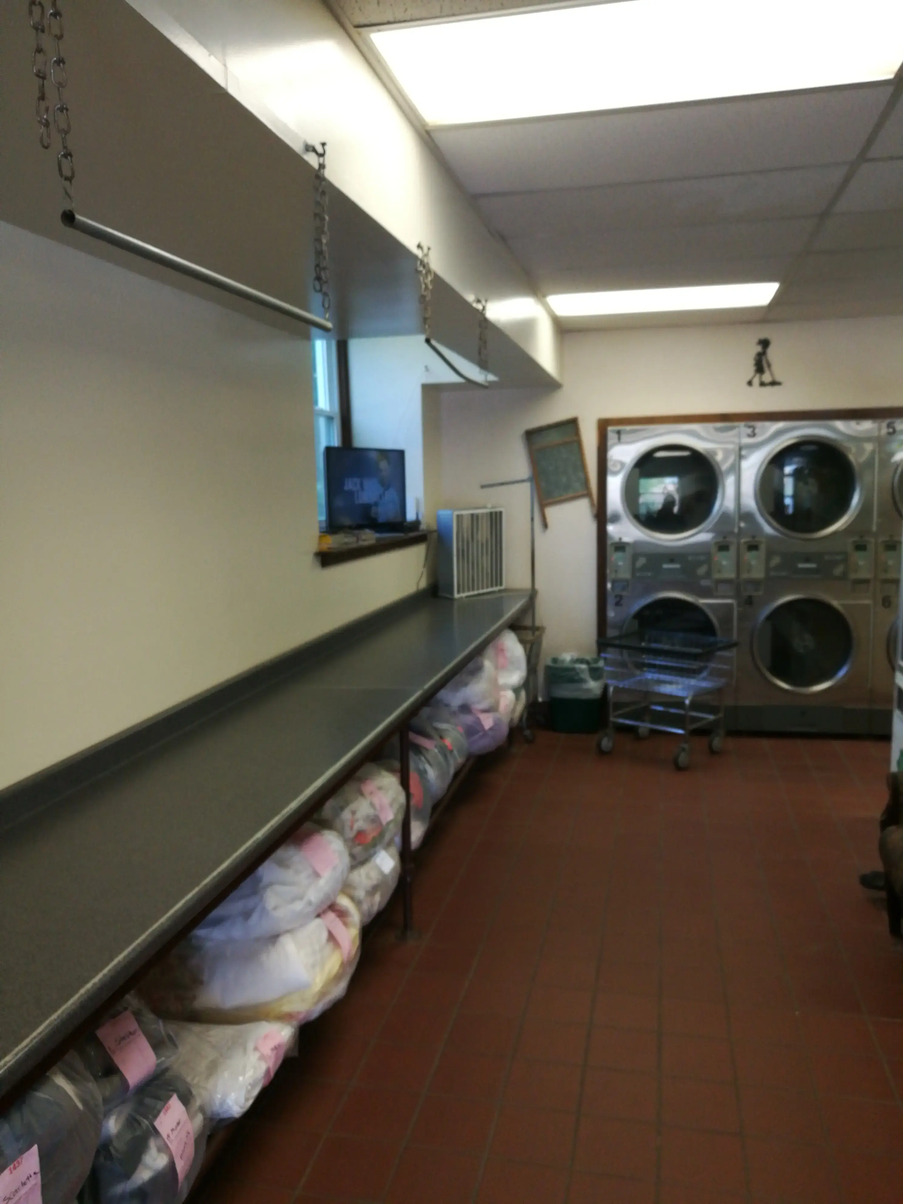 Washerwoman of Litchfield - Image 5
