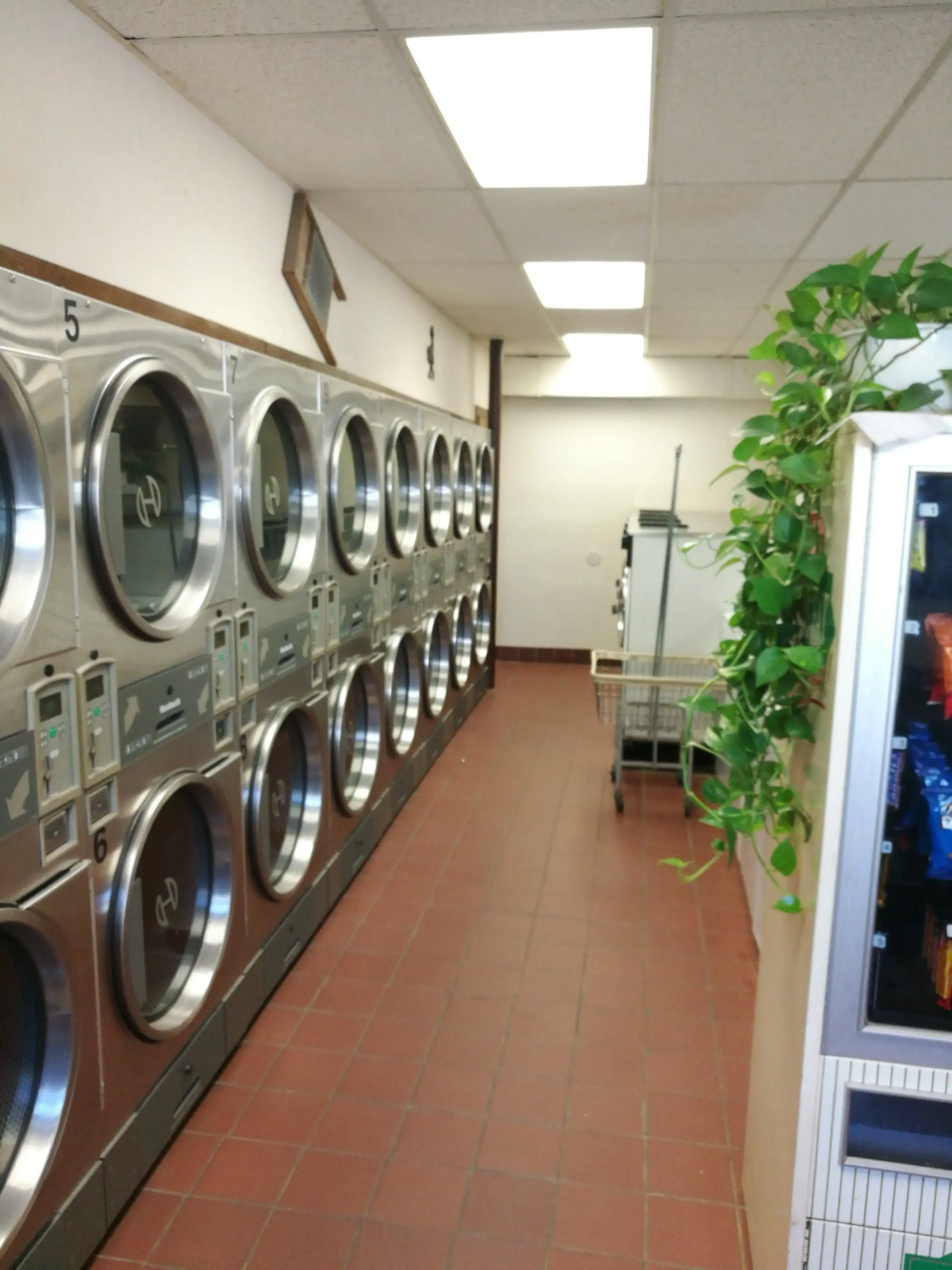 Washerwoman of Litchfield - Image 9