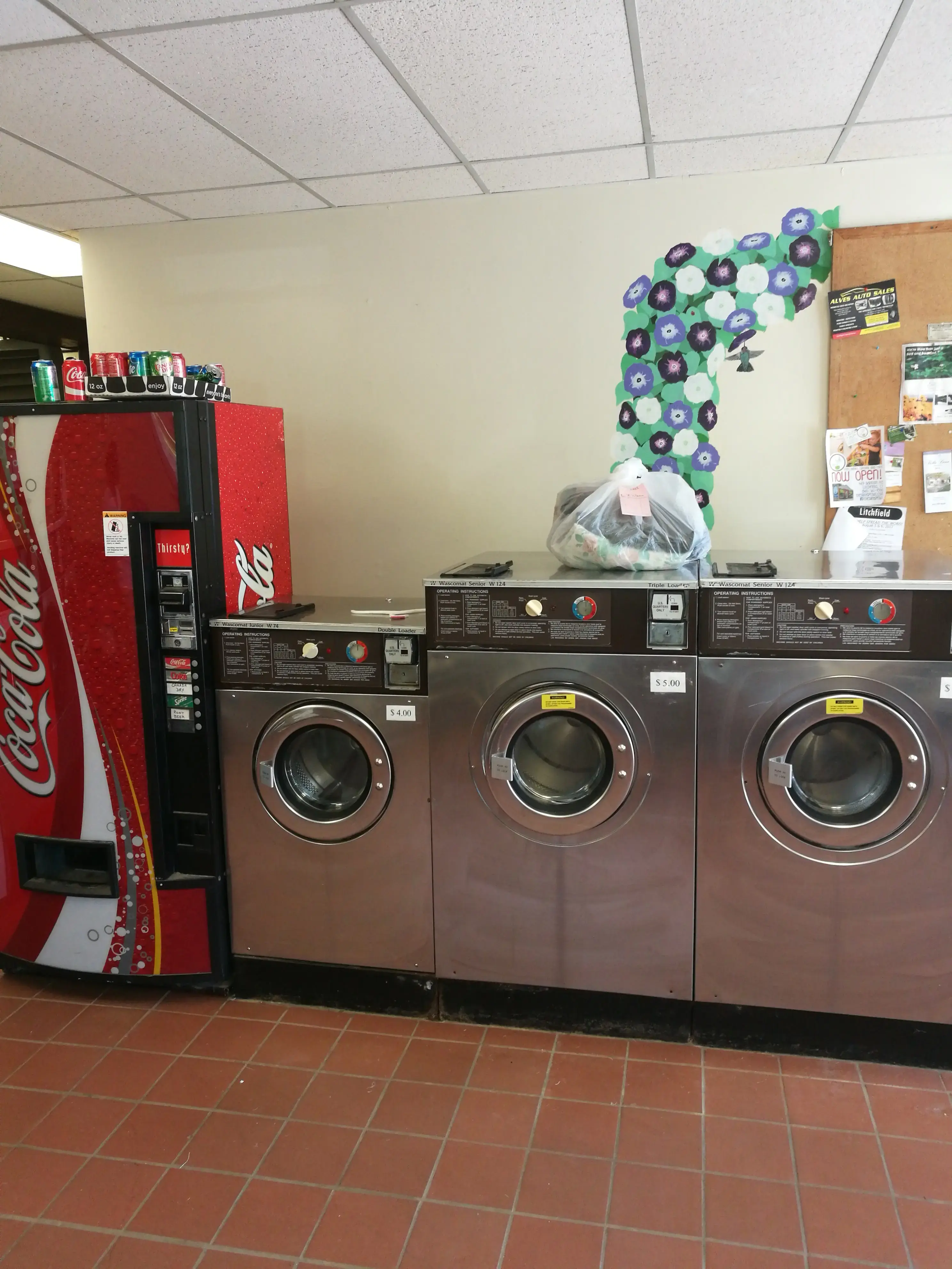 Washerwoman of Litchfield - Image 2