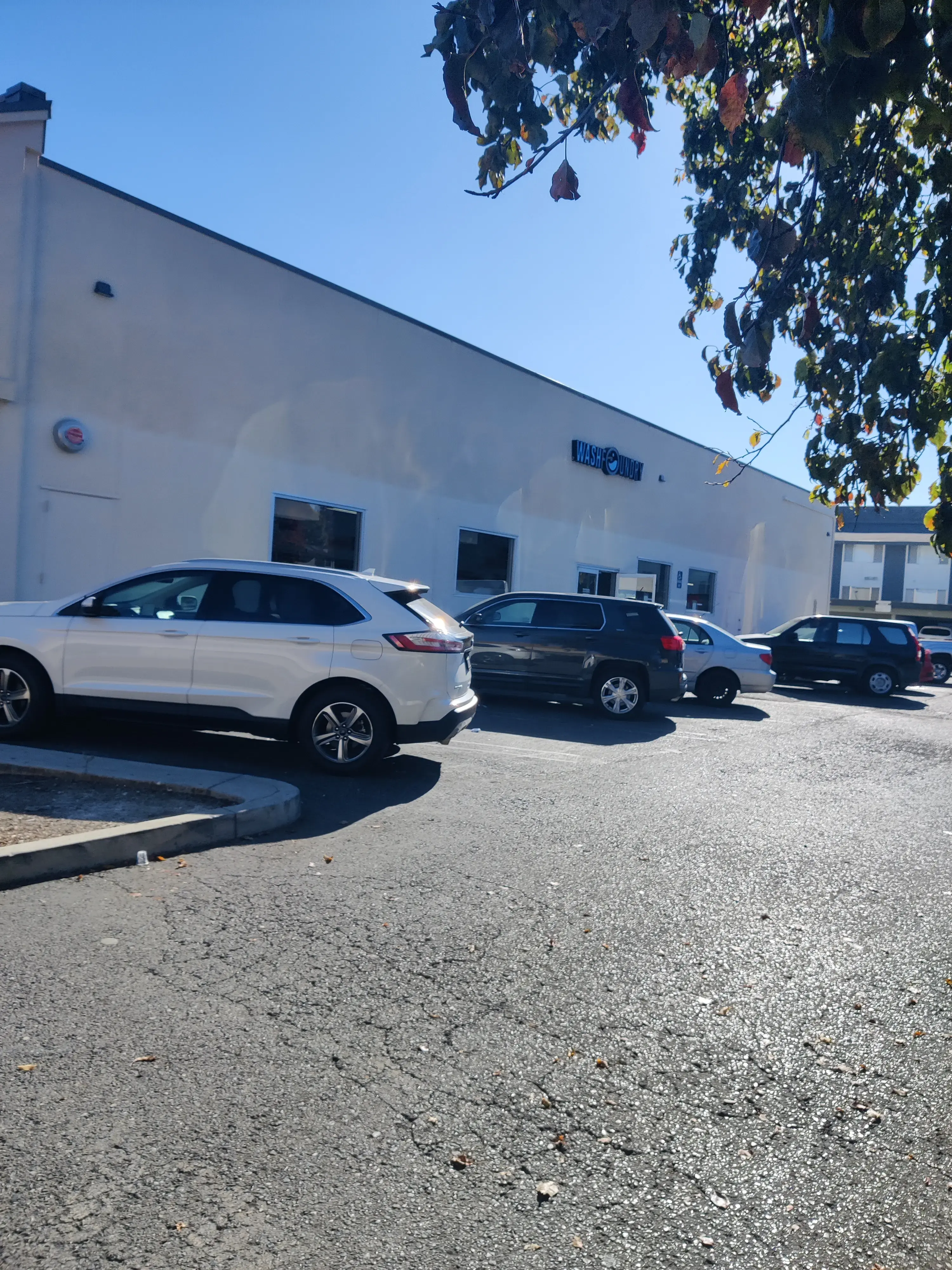 WashFoundry - Sunnyvale thumbnail 6