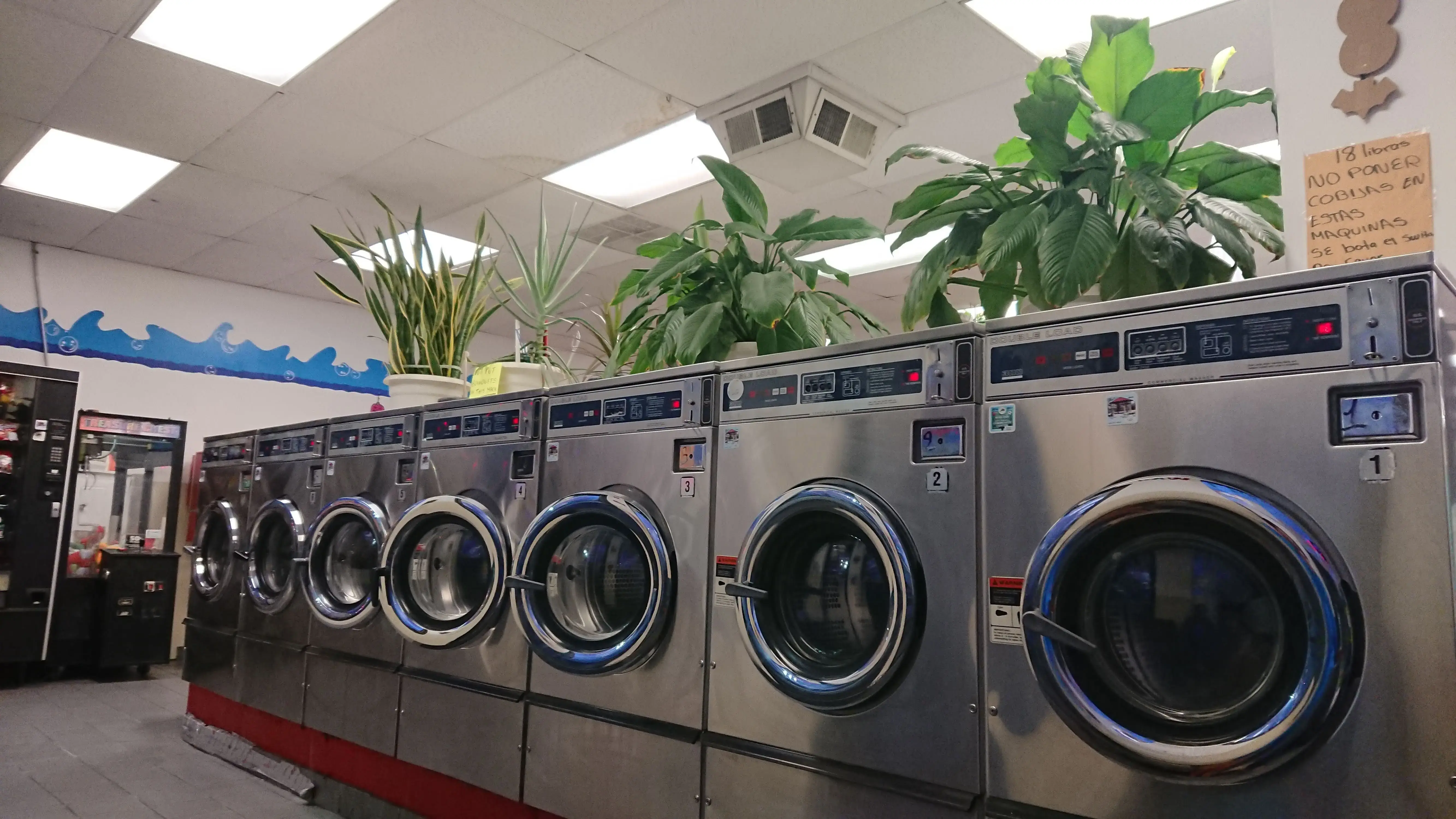 Washland Laundromat thumbnail 2