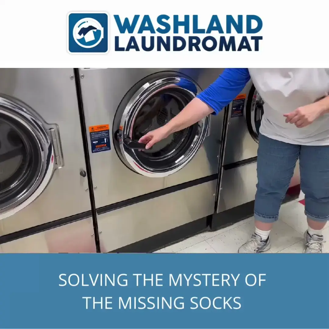 WashLand Laundromat - Image 2