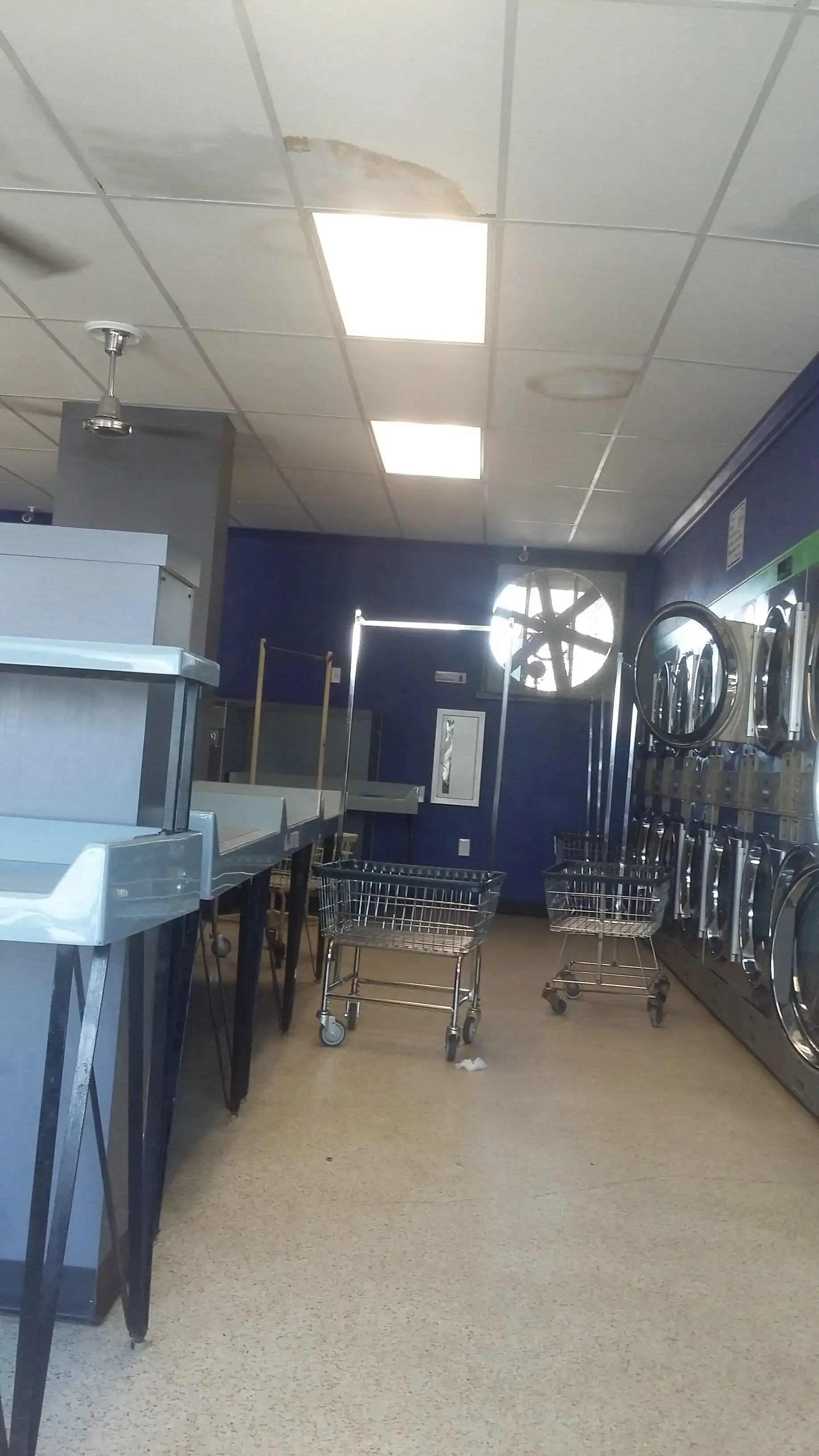 WasHouse Laundry Hanson - Image 12