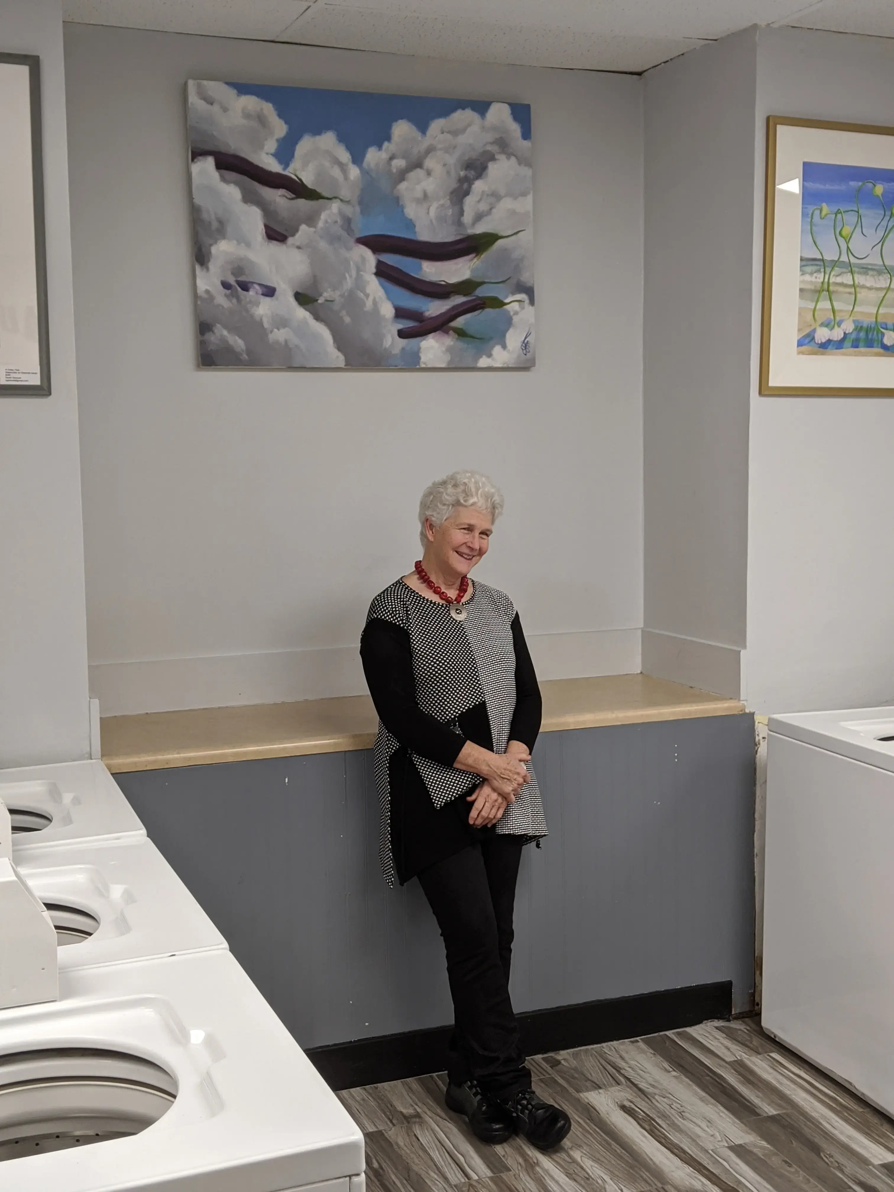 Washvault Laundry - Image 5