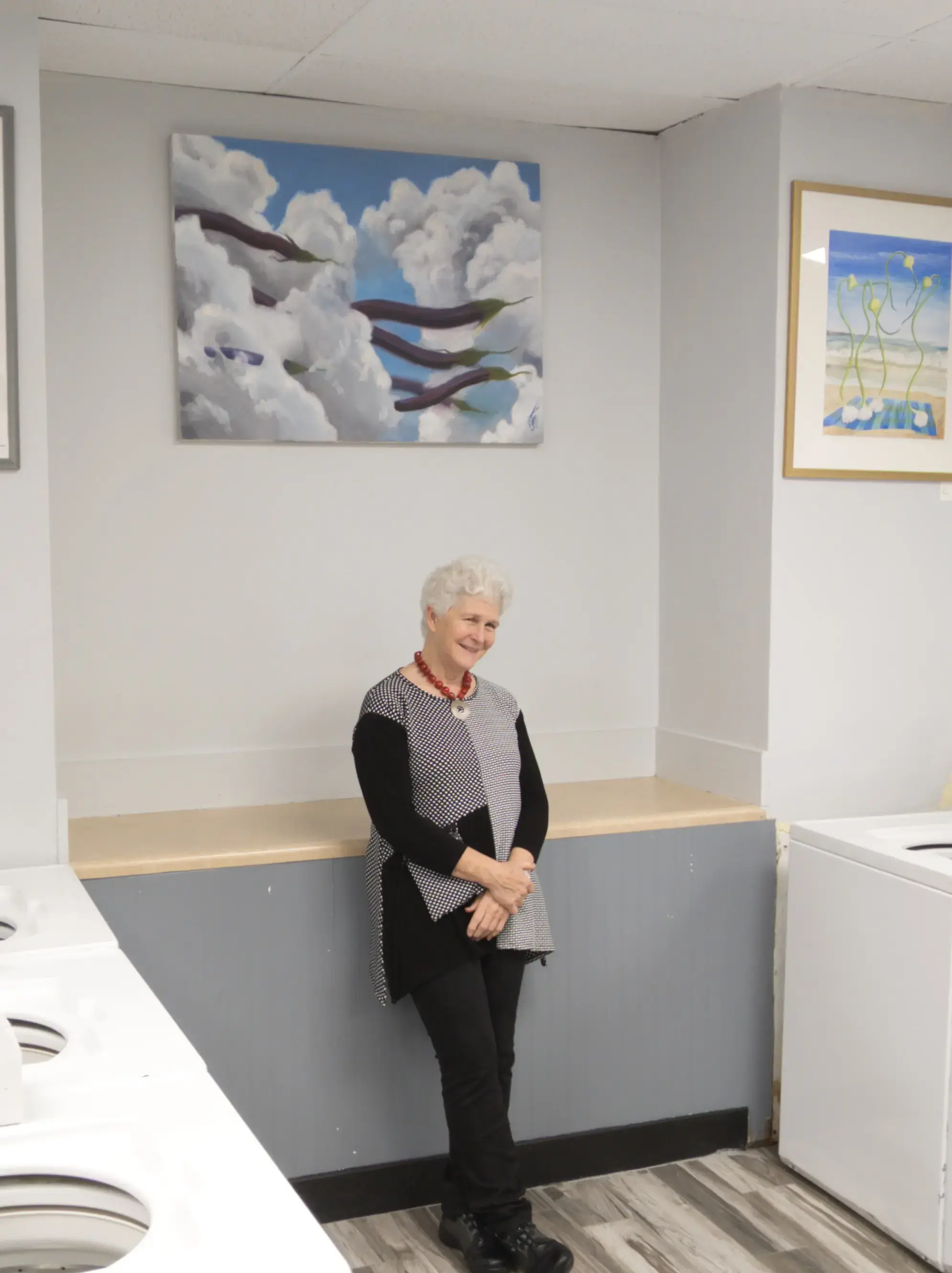 Washvault Laundry thumbnail 11