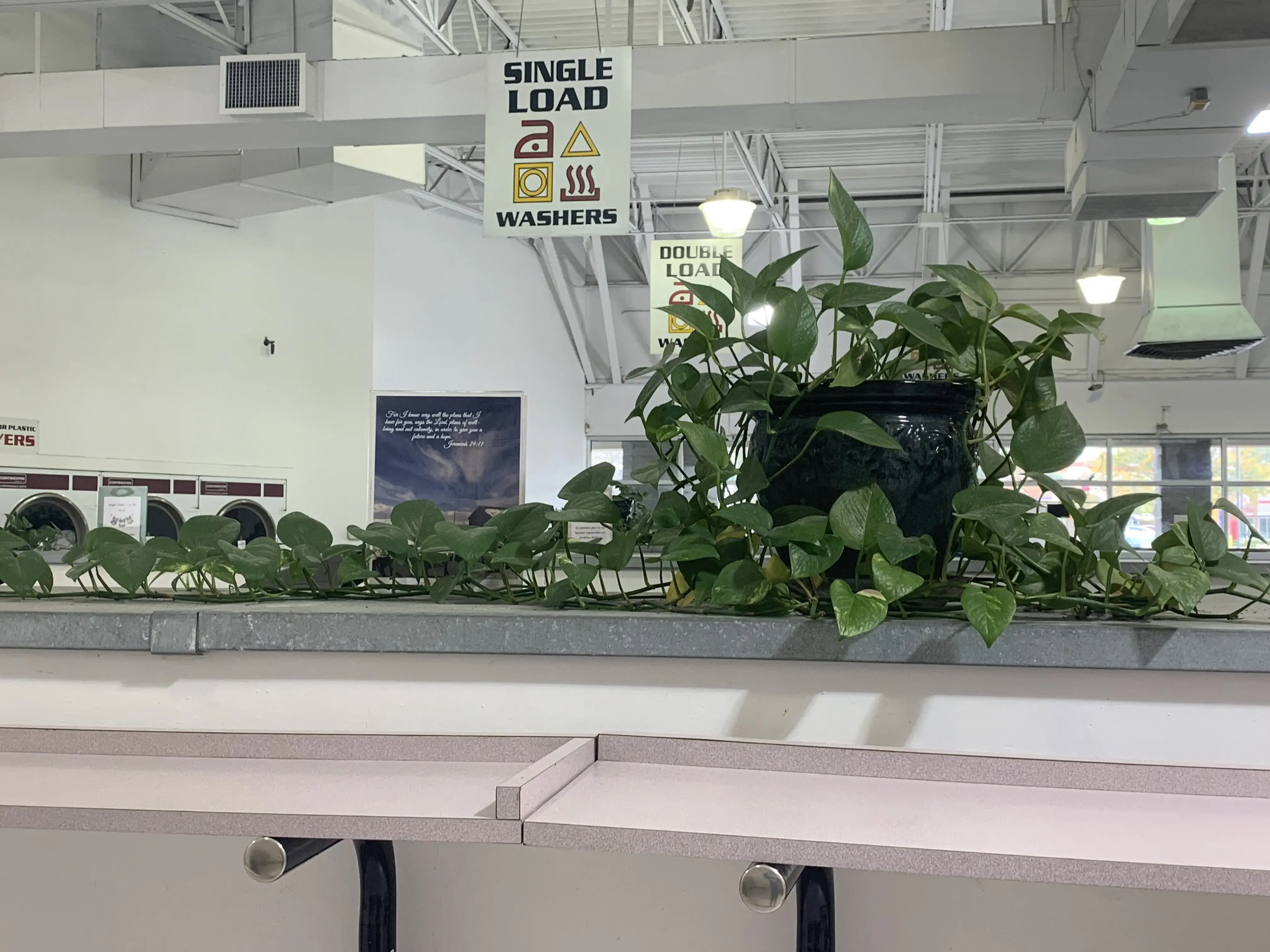 Washway Laundry thumbnail 10