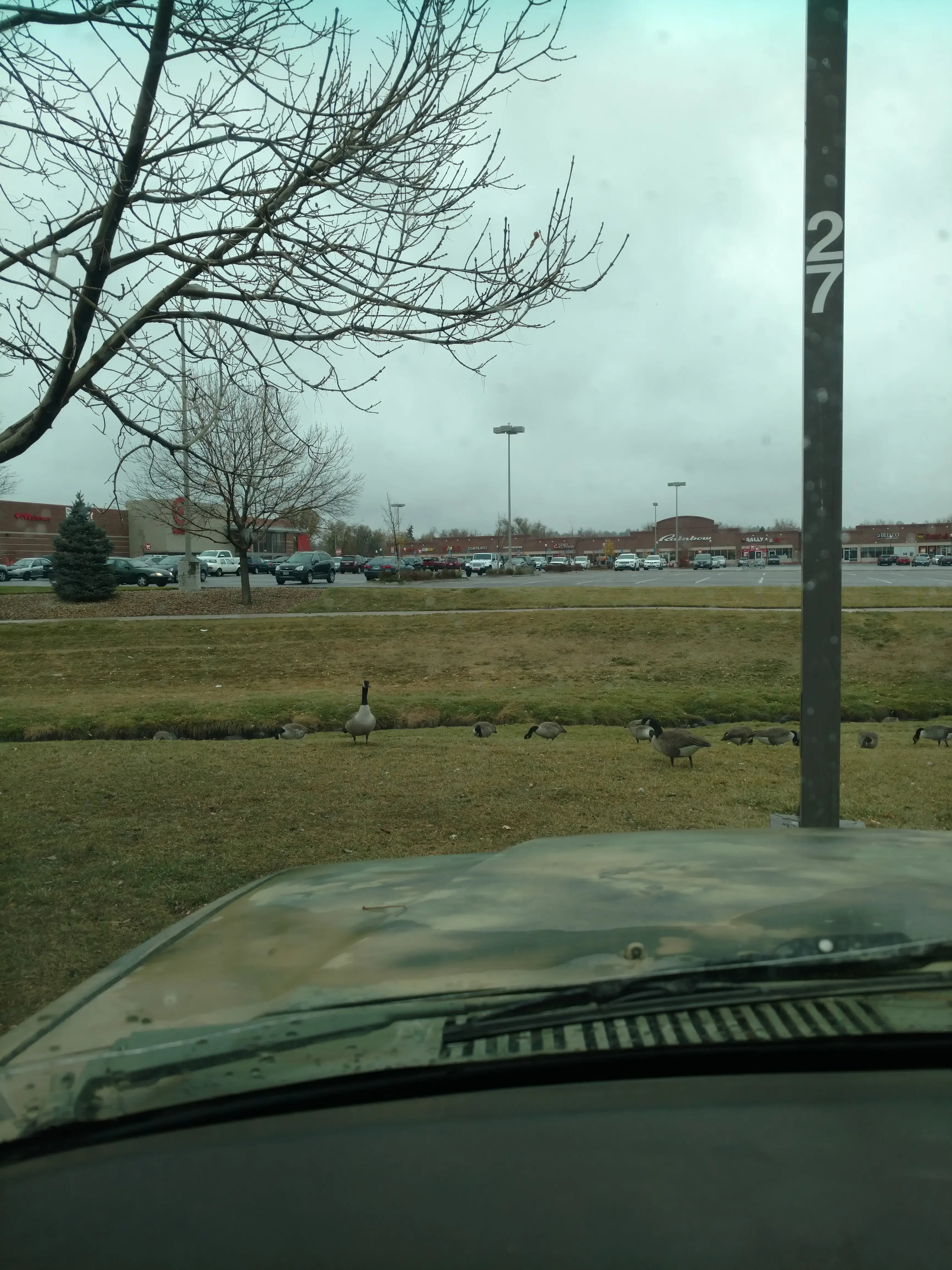 Washway Laundry thumbnail 13