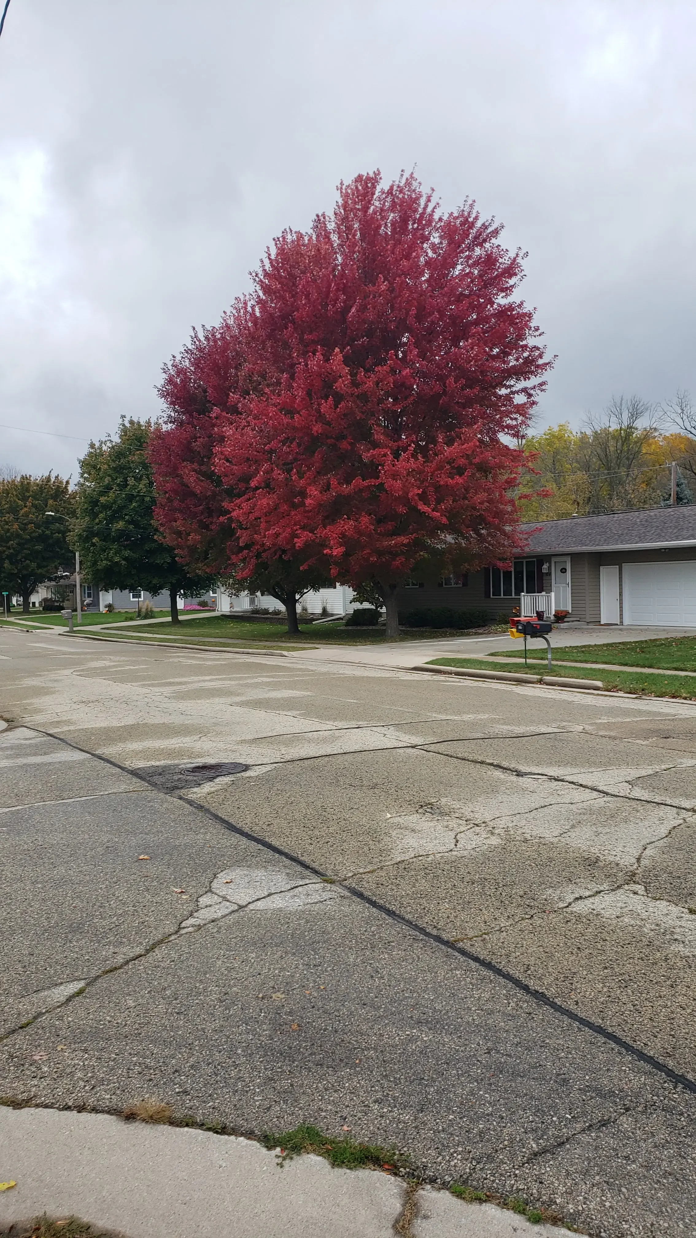 Waupun Laundry thumbnail 6