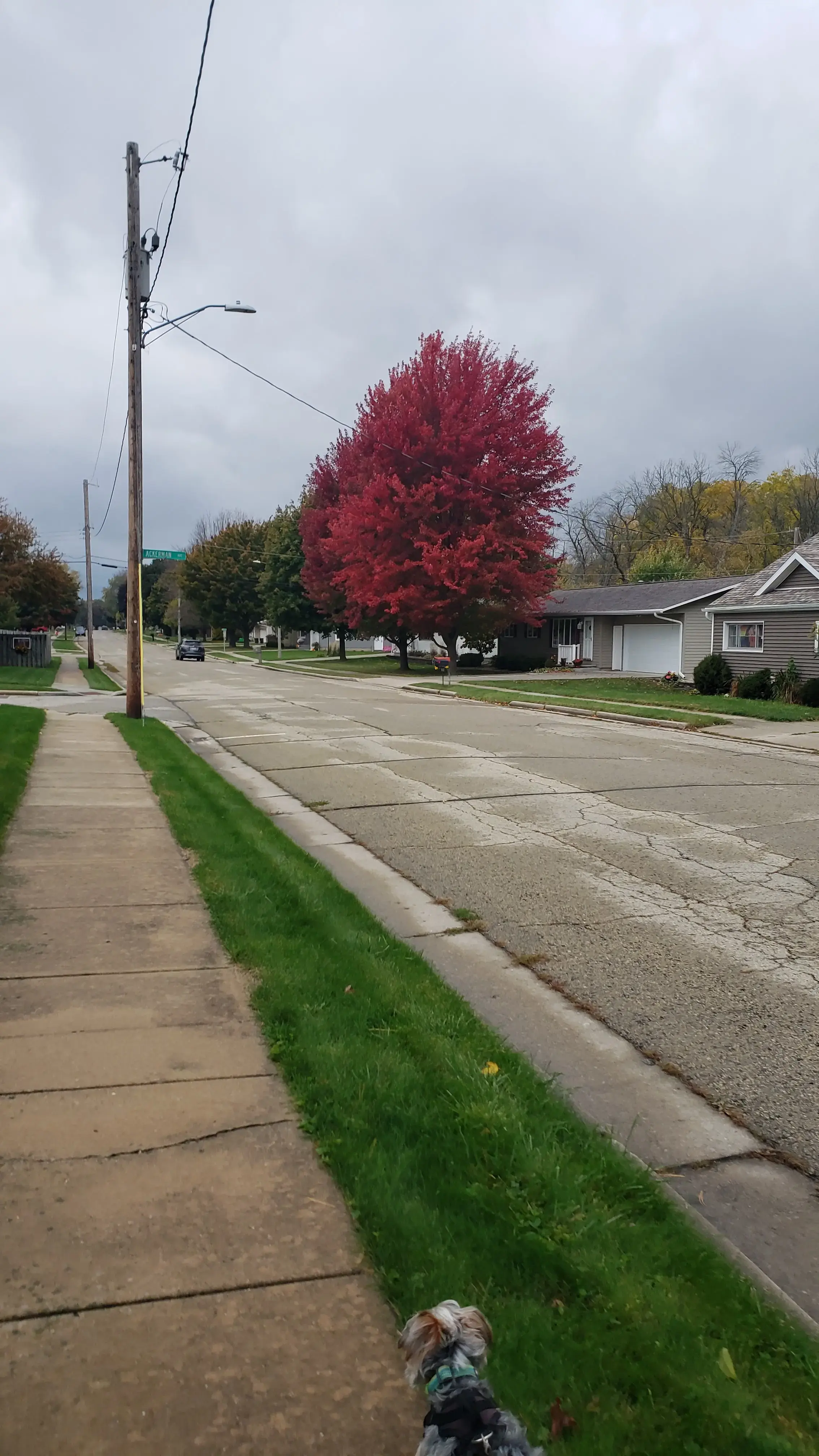 Waupun Laundry thumbnail 11