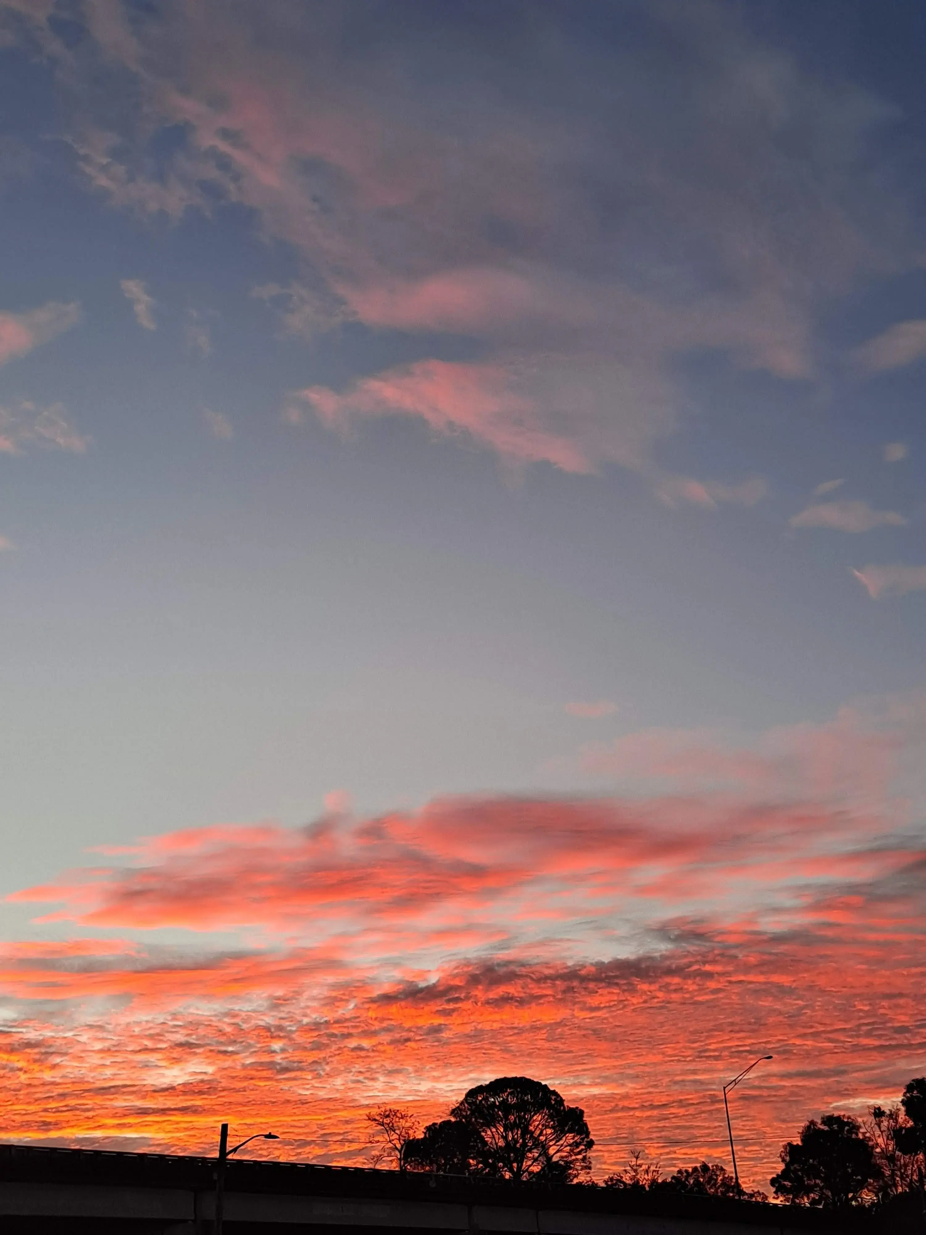 WaveMax Jacksonville - Image 14