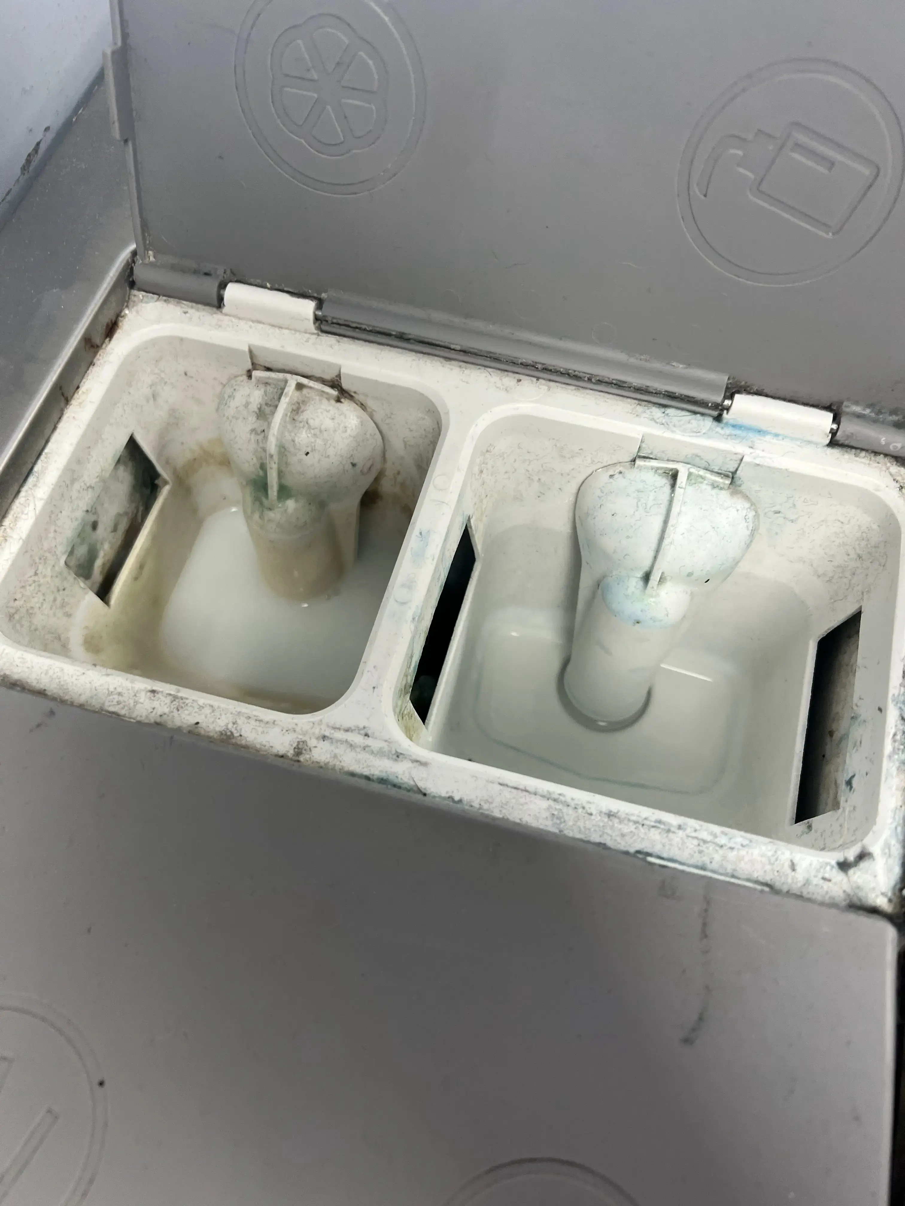 WaveMax Jacksonville thumbnail 18