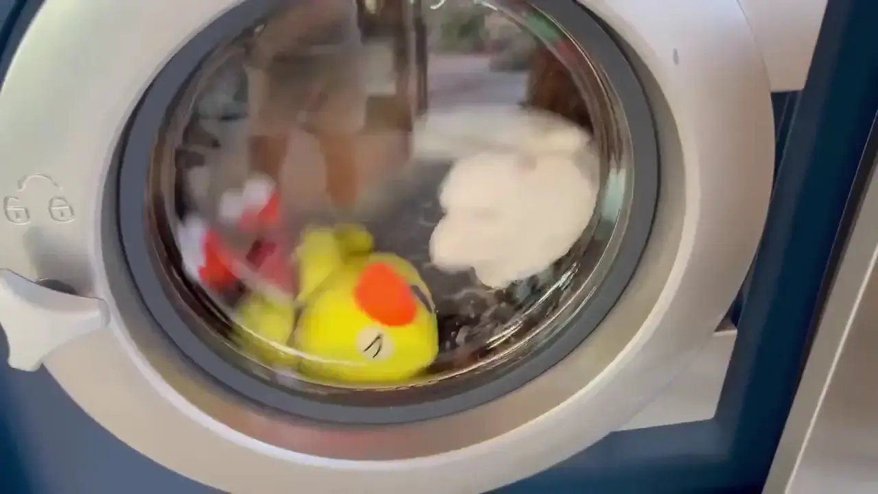 Wavemax Laundry Chandler AZ - Image 18