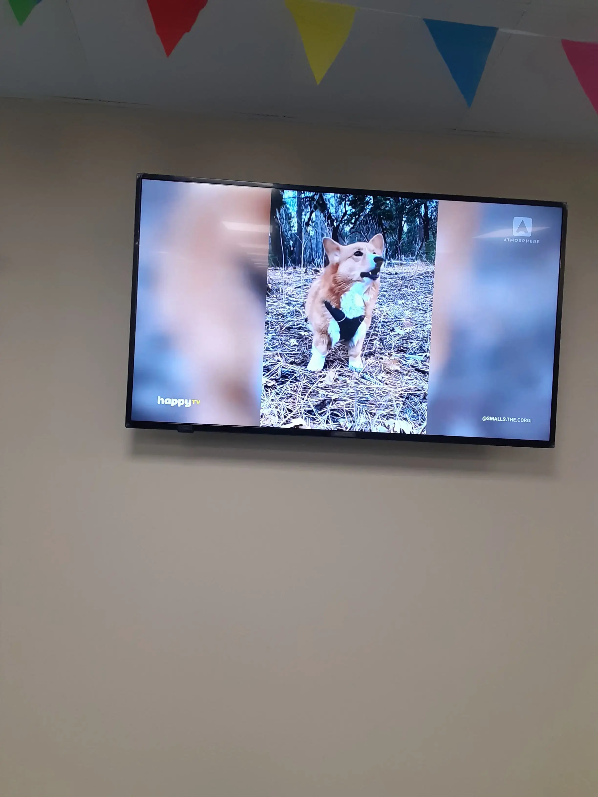 WaveMAX Laundry Cincinnati OH thumbnail 15