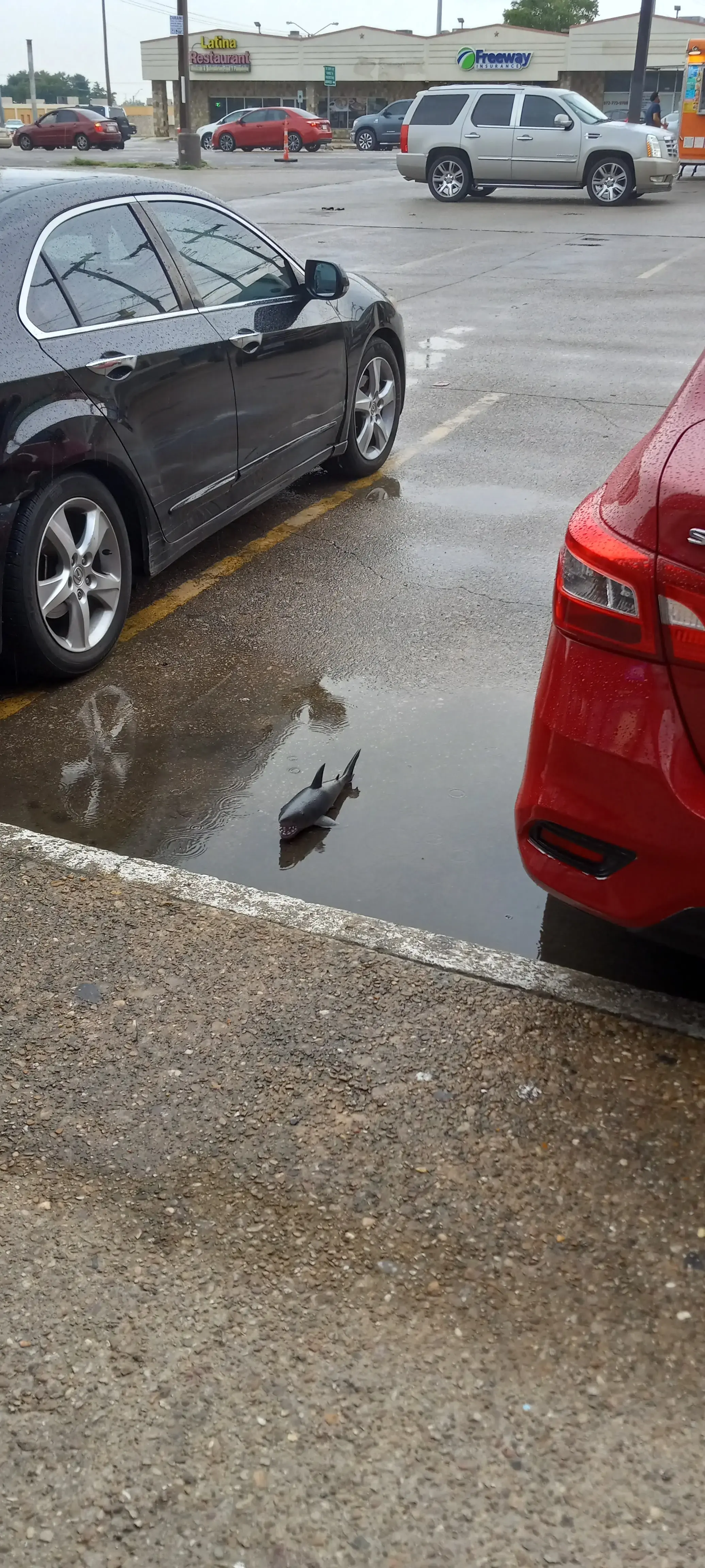 WaveMax Laundry Dallas - Image 19