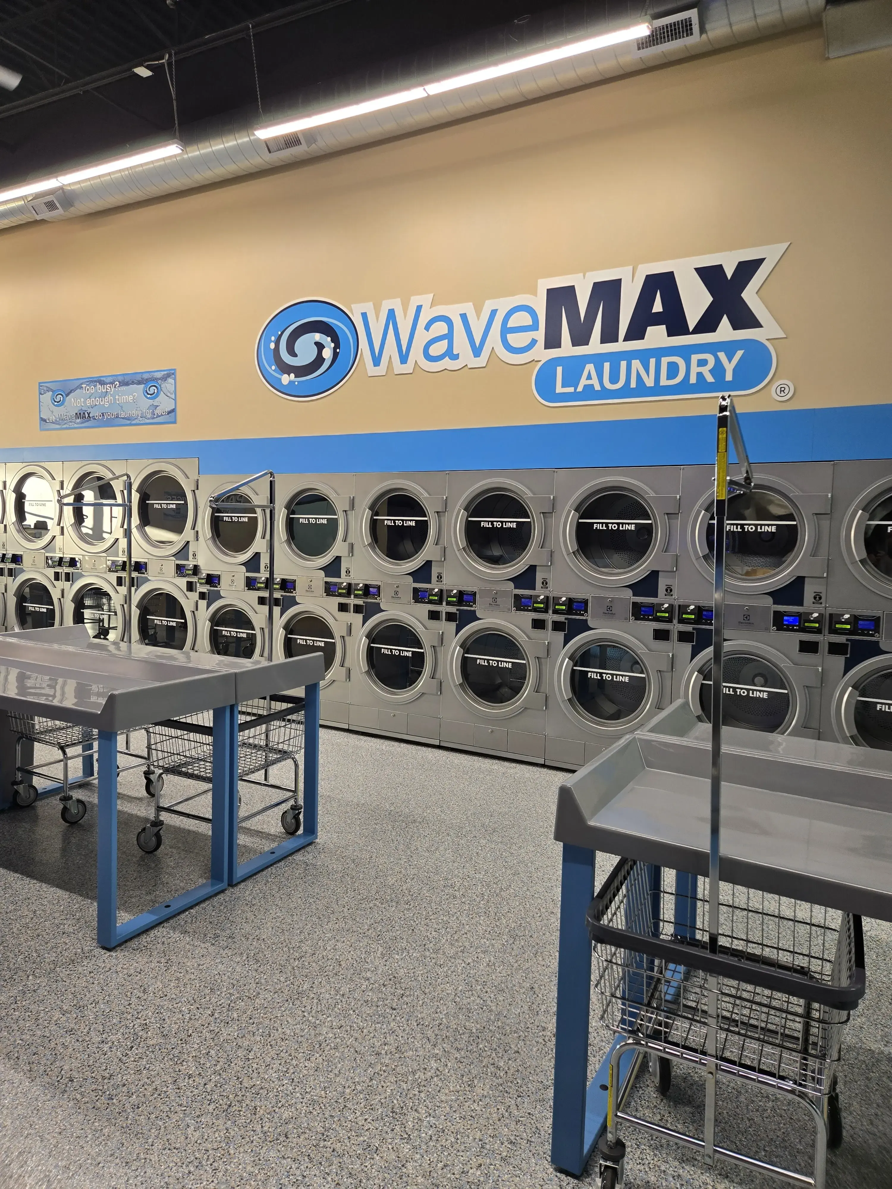 WaveMAX Laundry thumbnail 15