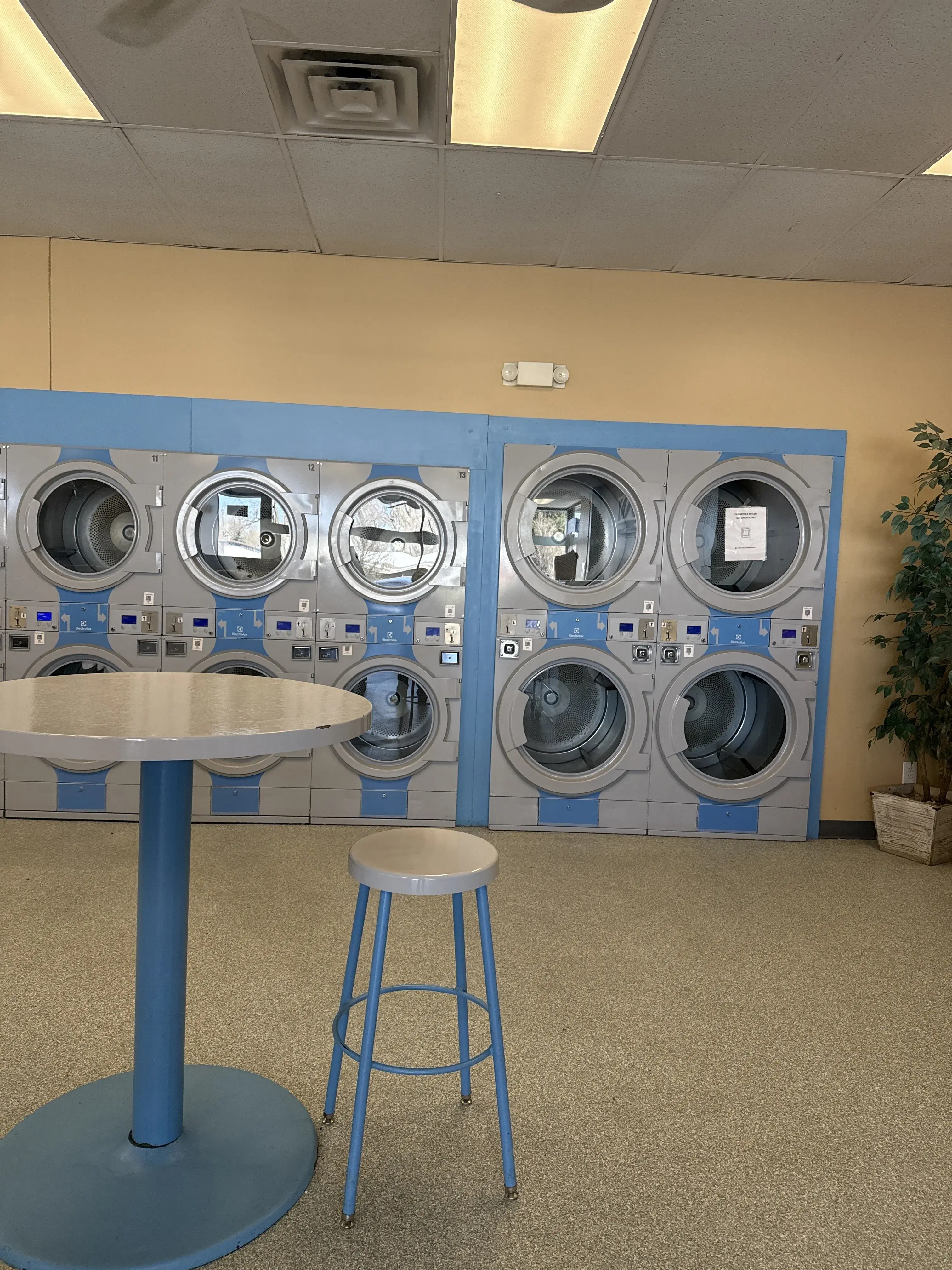 WaveMAX Laundry Lansing, MI - Image 14