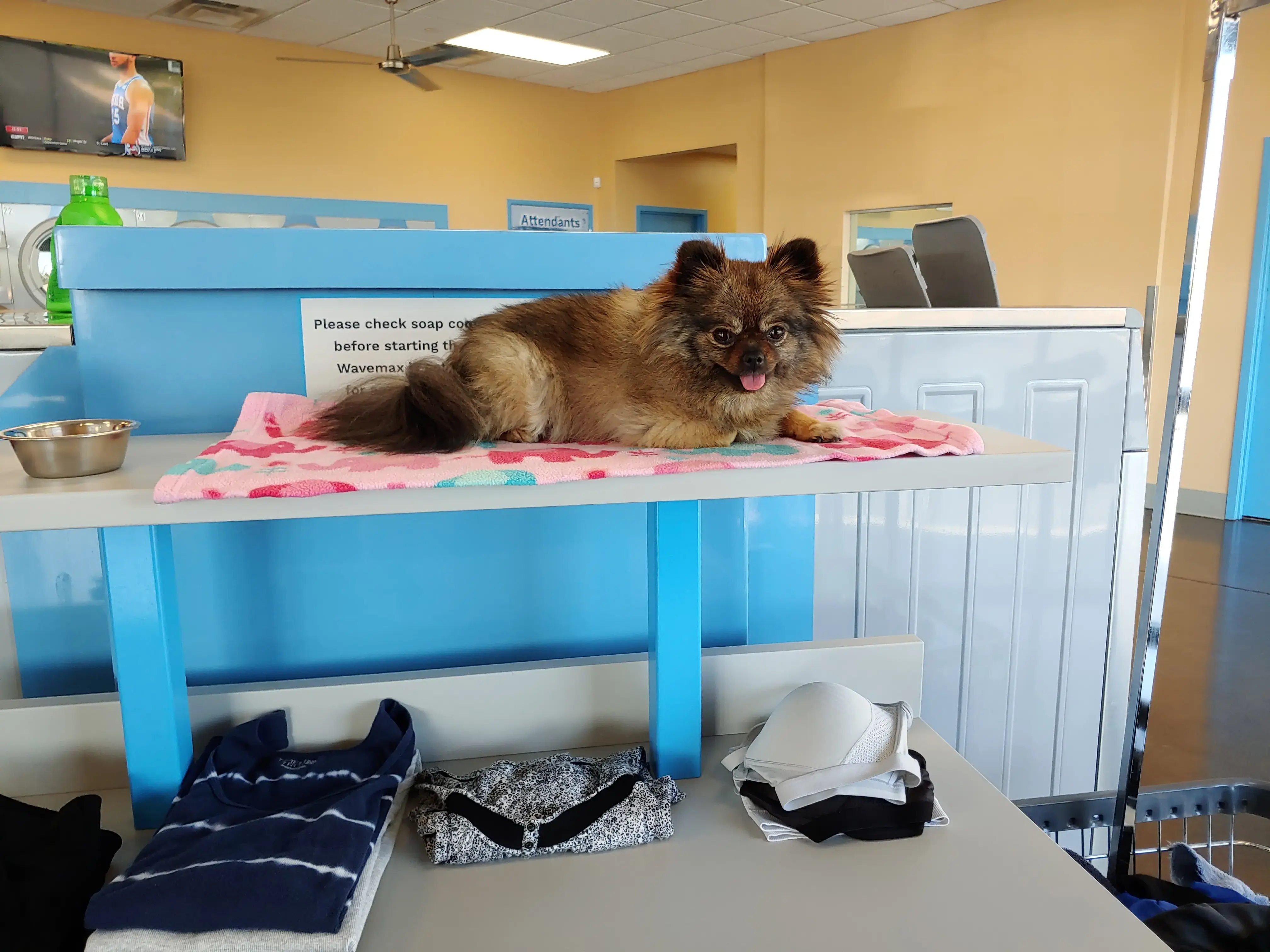 WaveMAX Laundry - Image 11