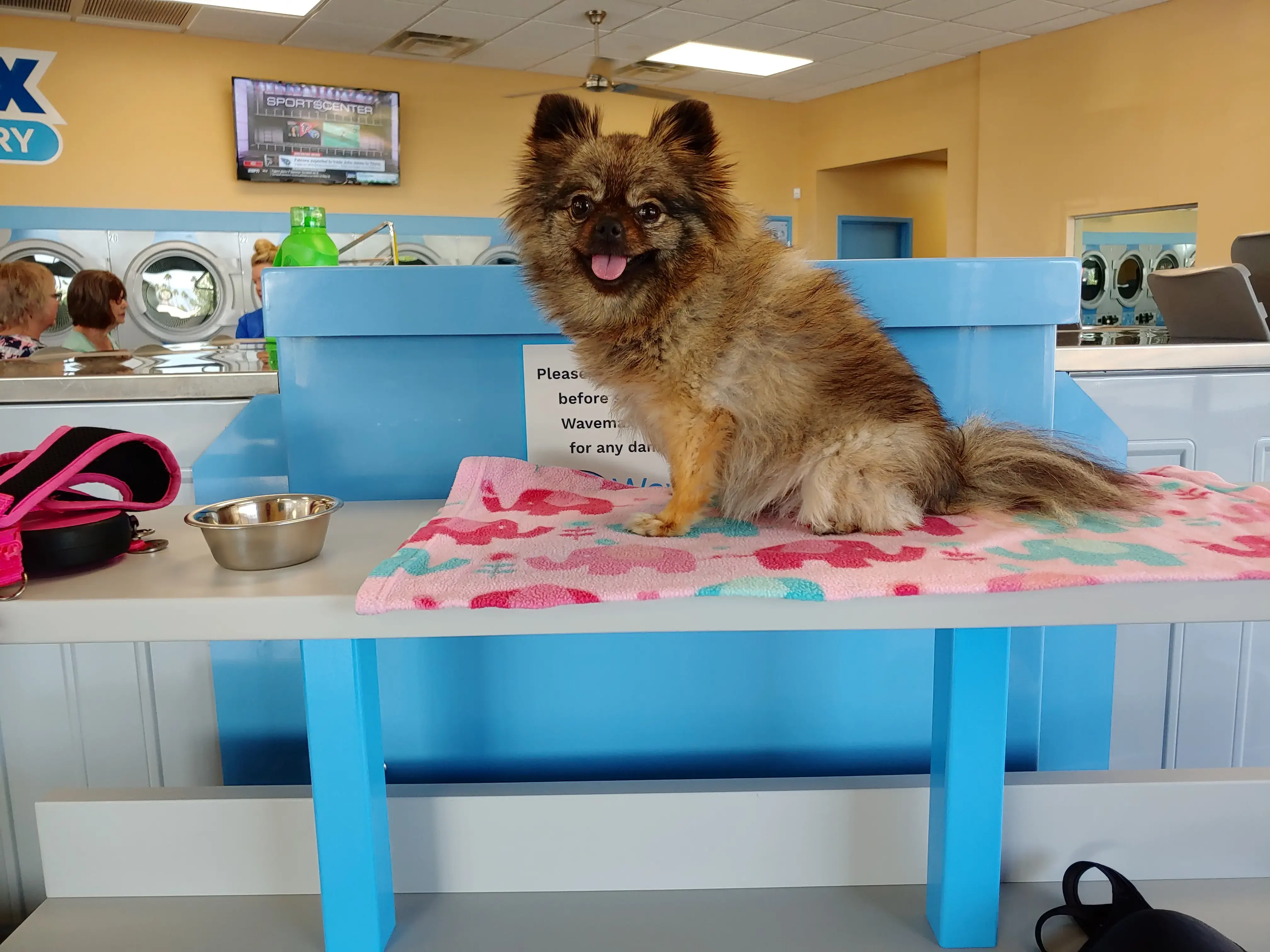 WaveMAX Laundry - Image 5