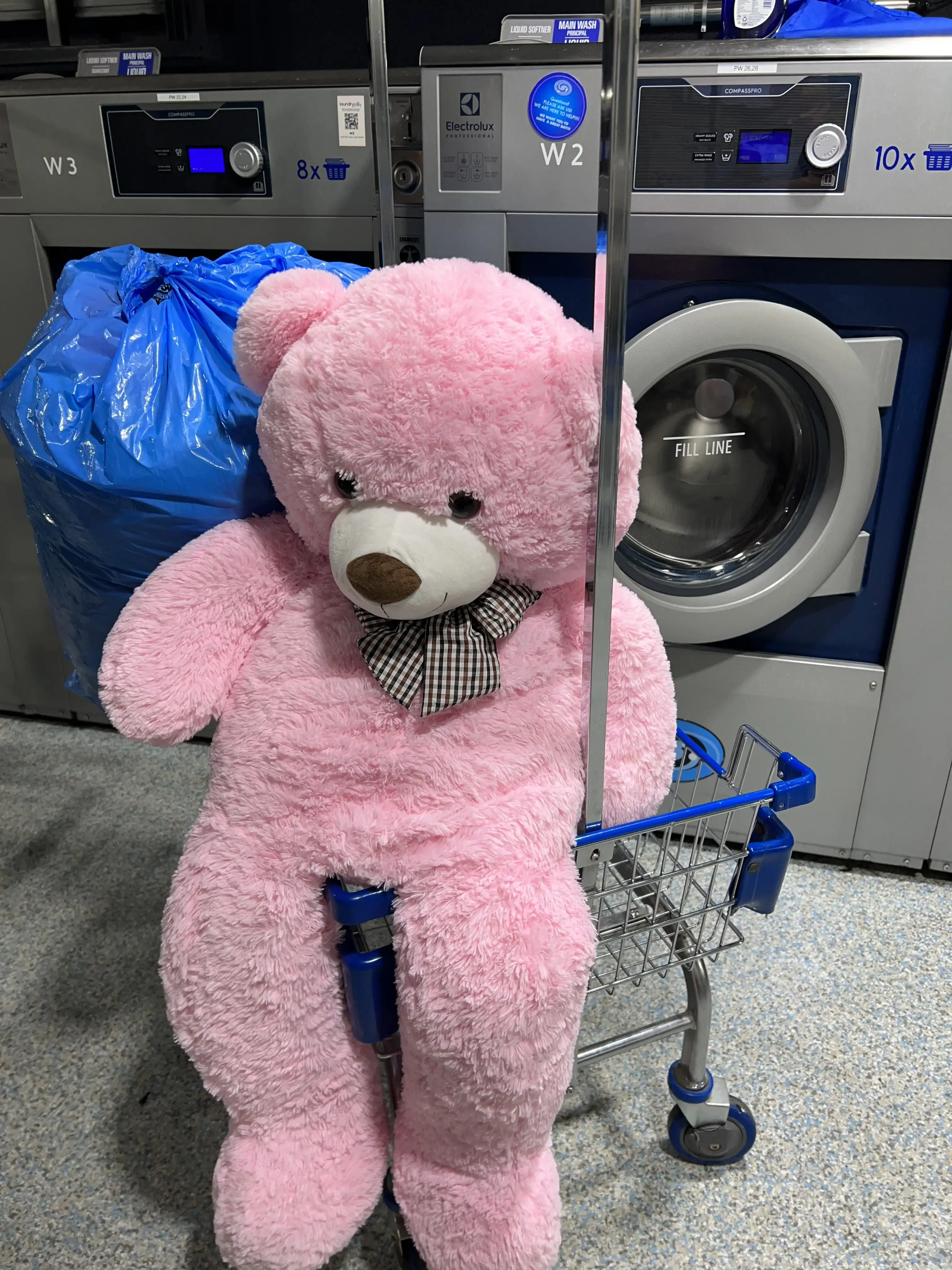 WaveMAX Laundry thumbnail 9