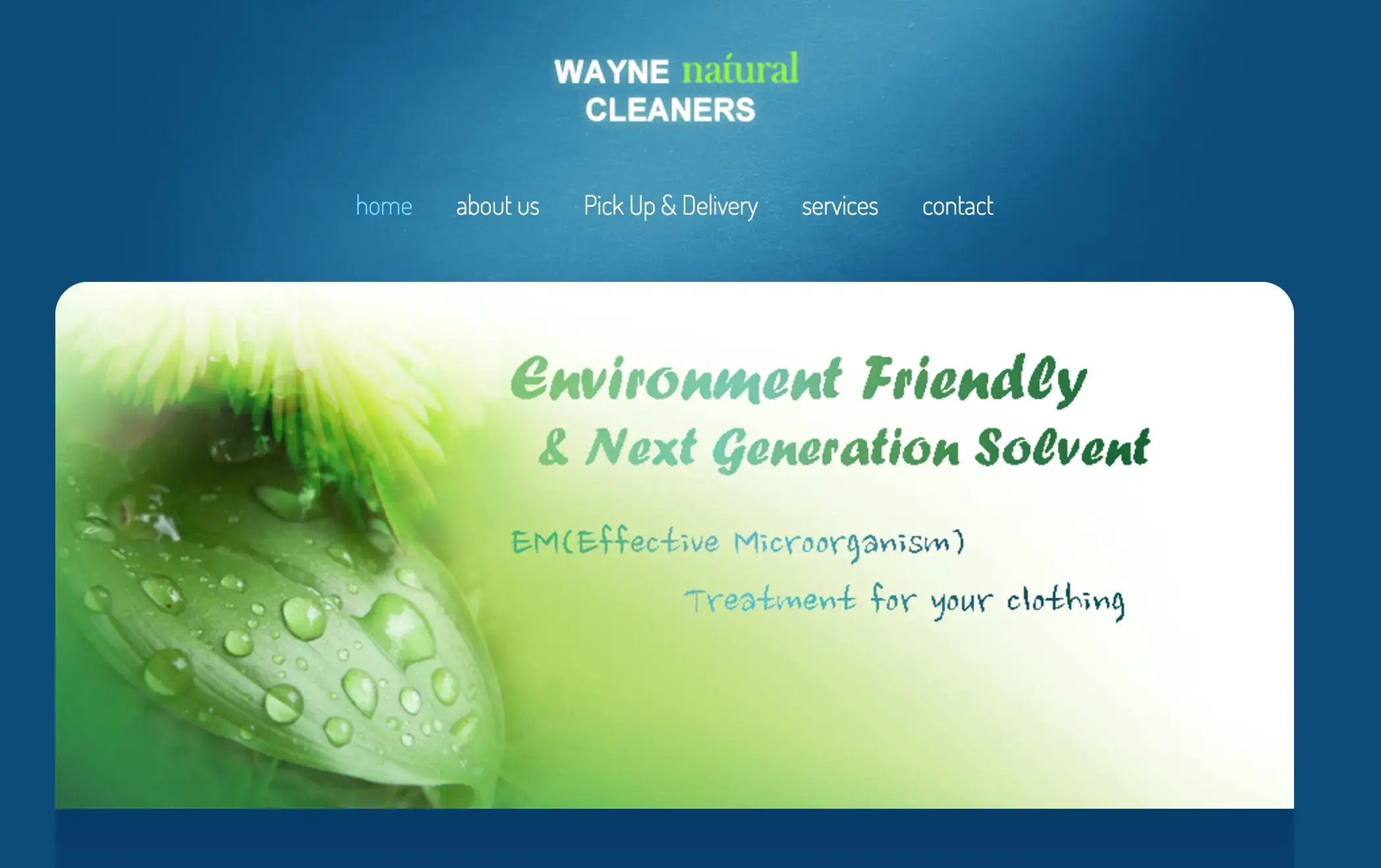 Wayne Cleaners thumbnail 5