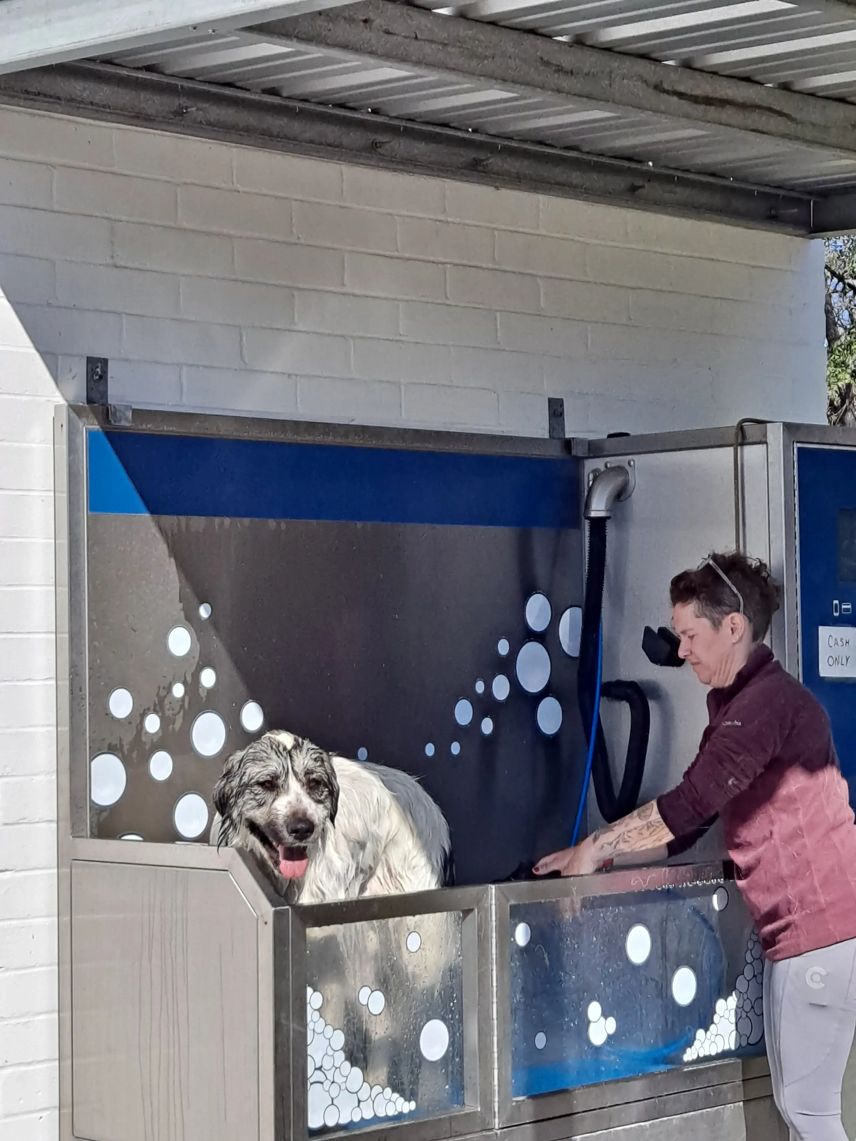 Webz Washateria - Image 10