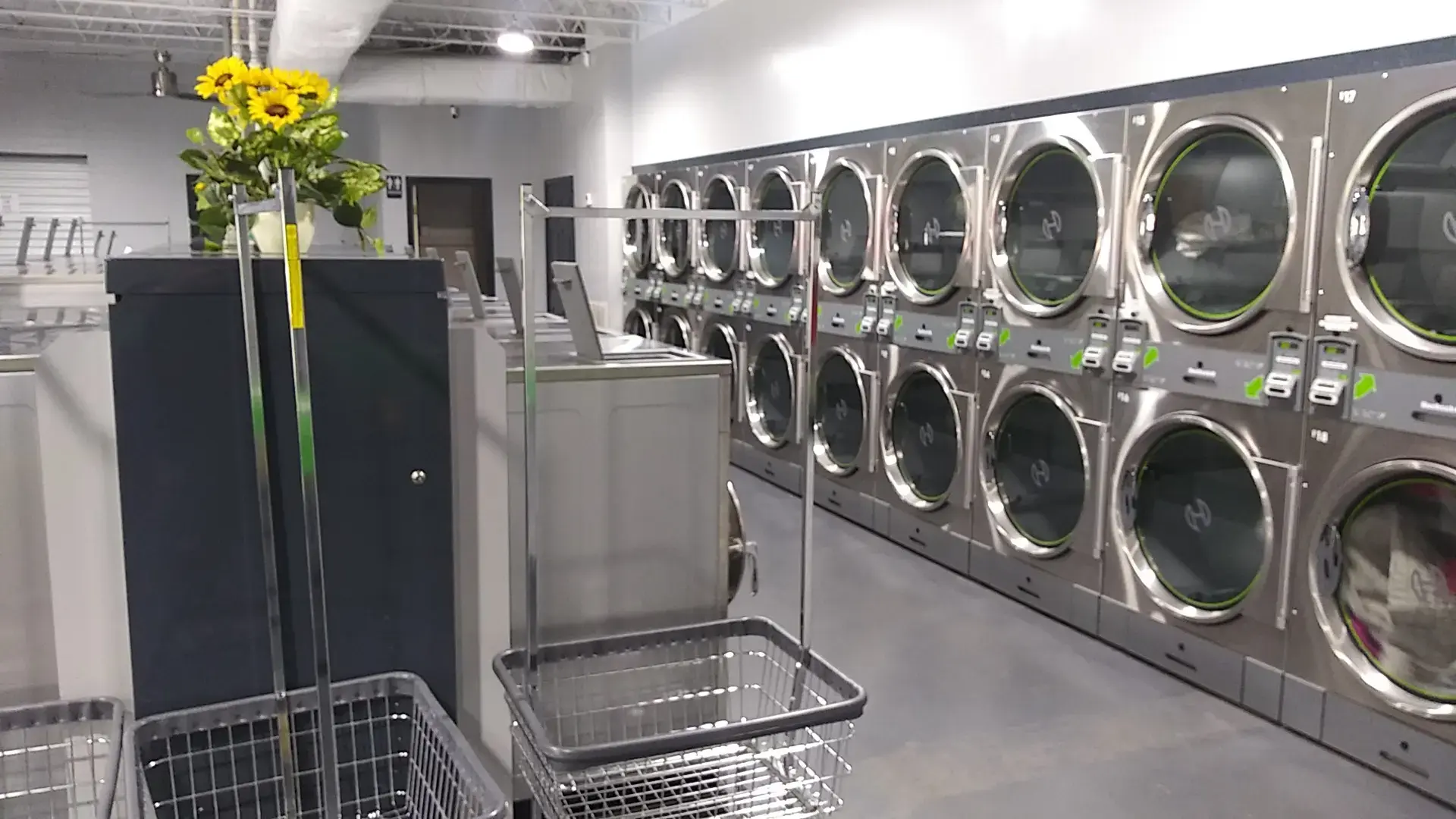 Webz Washateria - Image 4