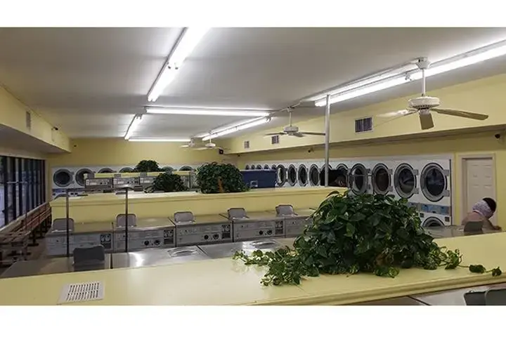 We'll Wash Laundromat thumbnail 2