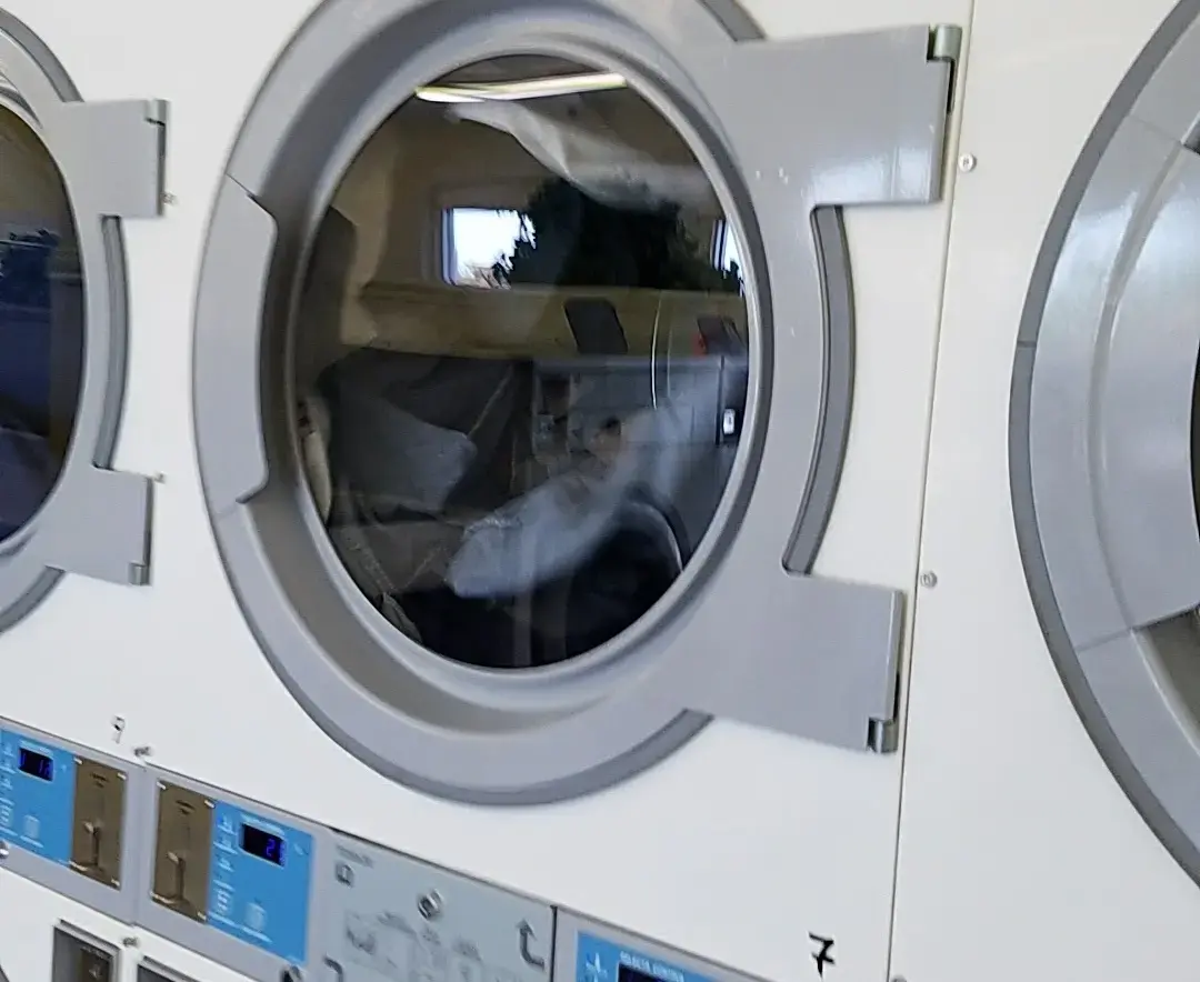 We'll Wash Laundromat thumbnail 11