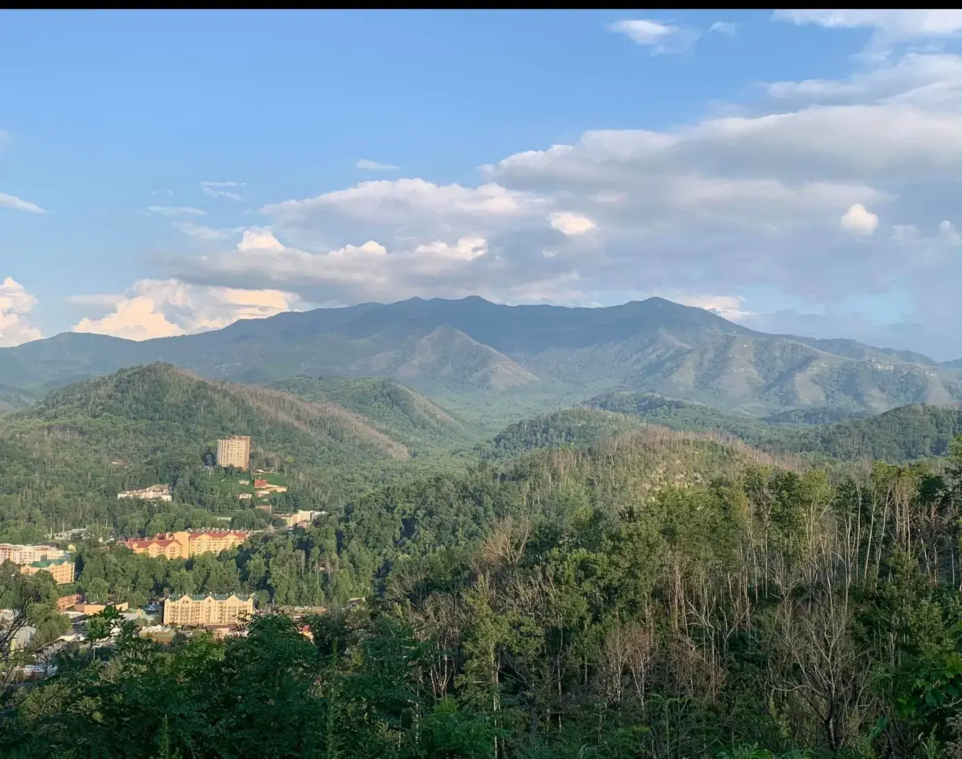 Well Wishing Coin Laundry & Wash and Fold - Image 7