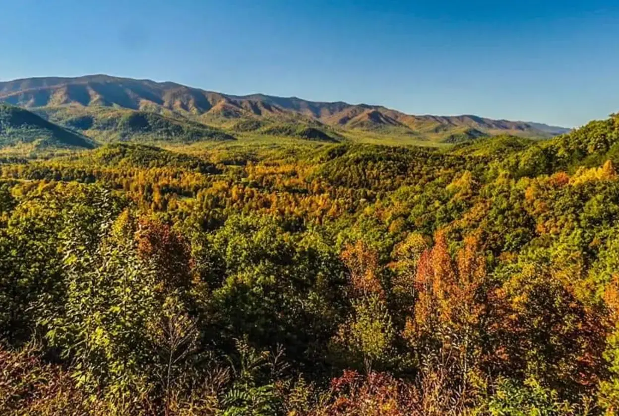 Well Wishing Coin Laundry & Wash and Fold - Image 8