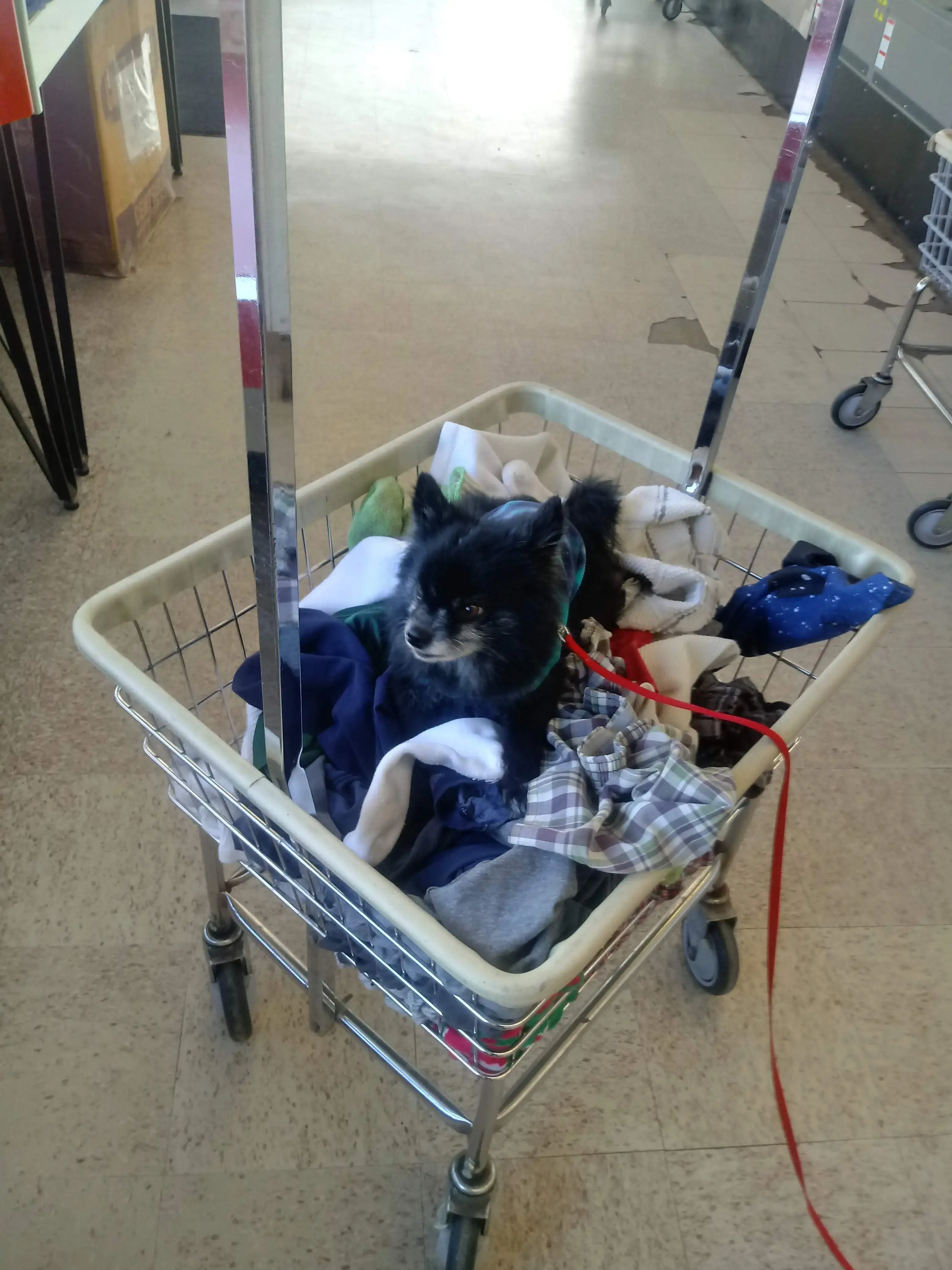 West 11th Laundromat - Image 15