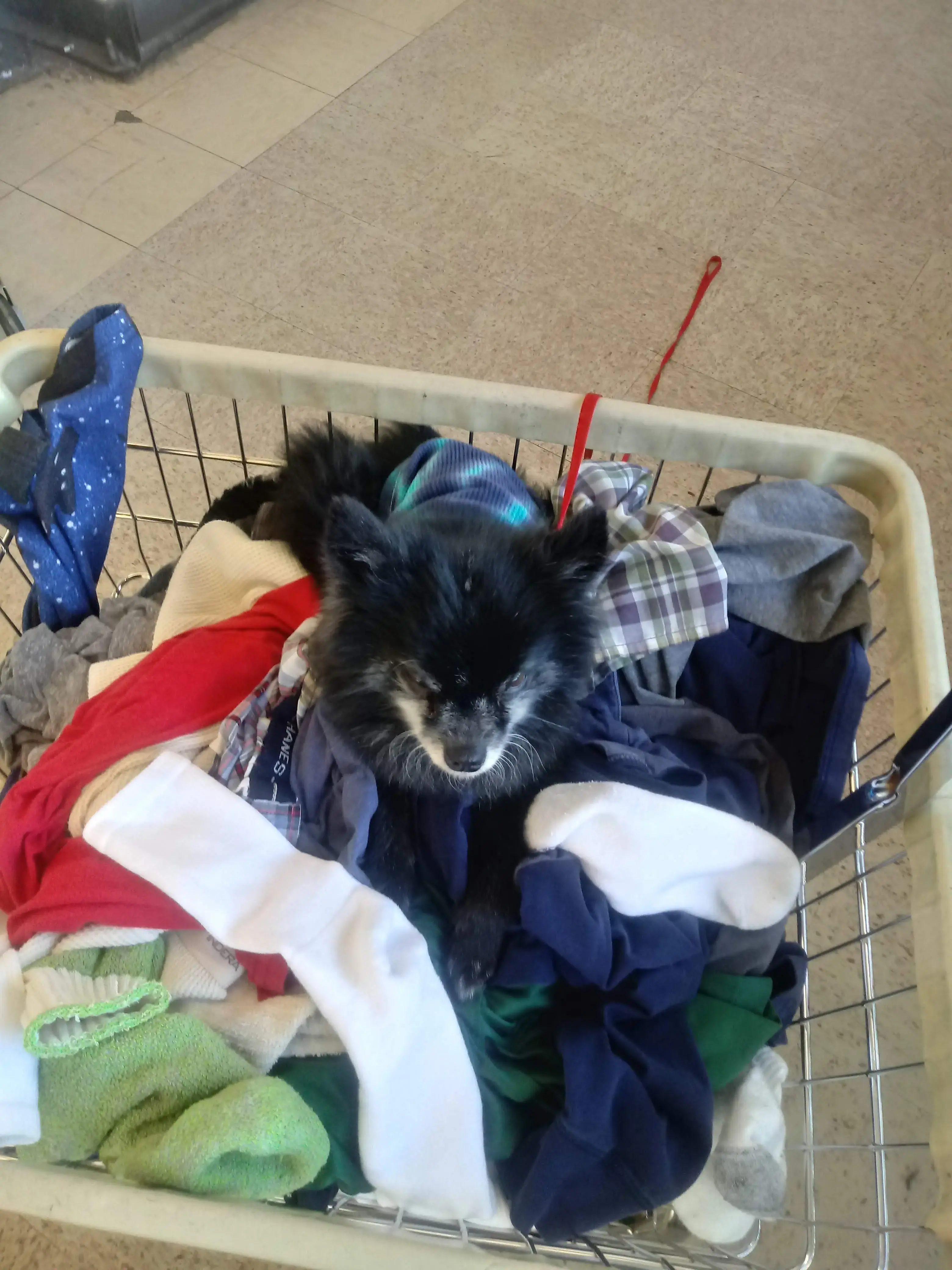 West 11th Laundromat - Image 19