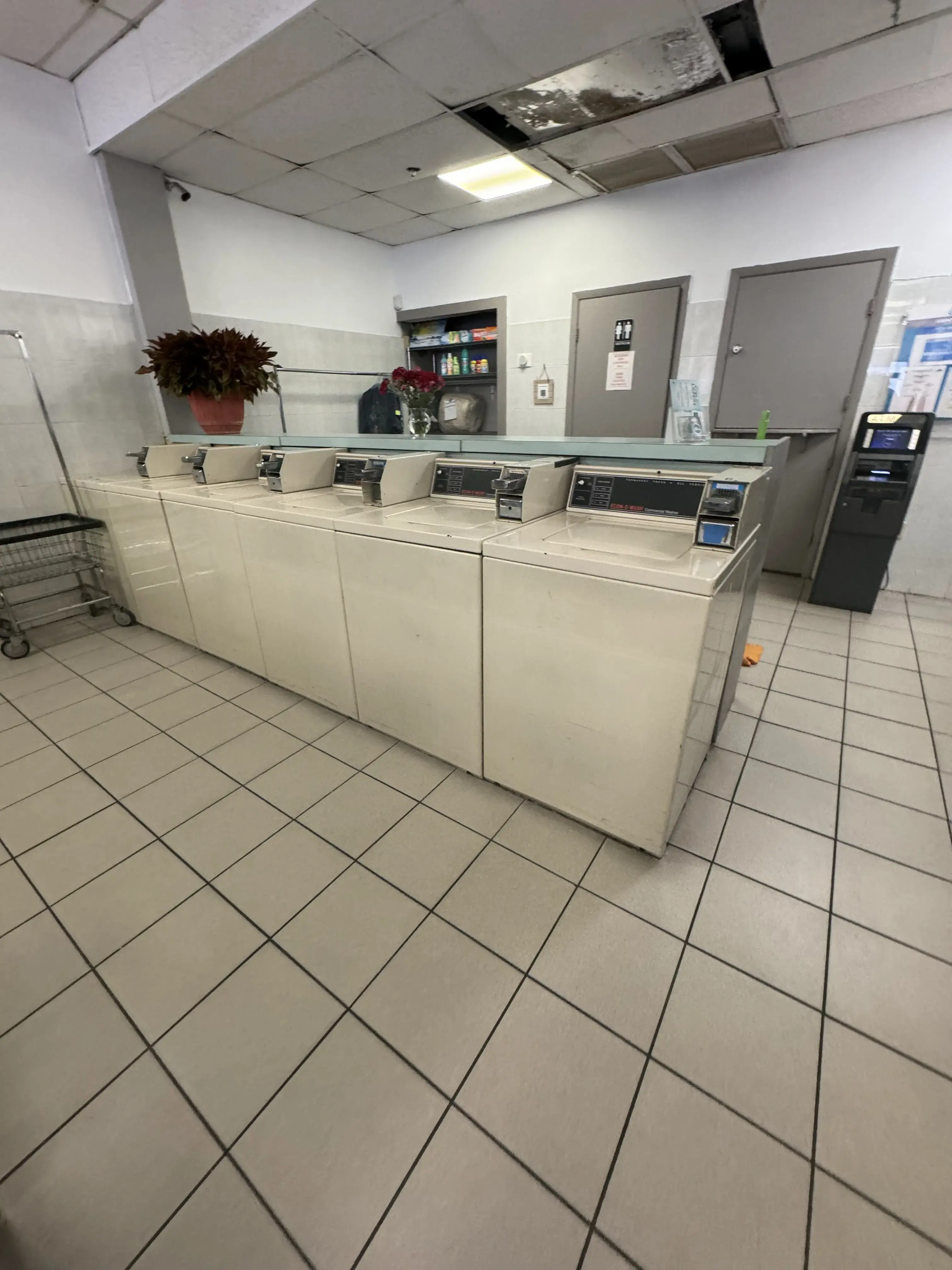 West Bird Coin Laundry thumbnail 16