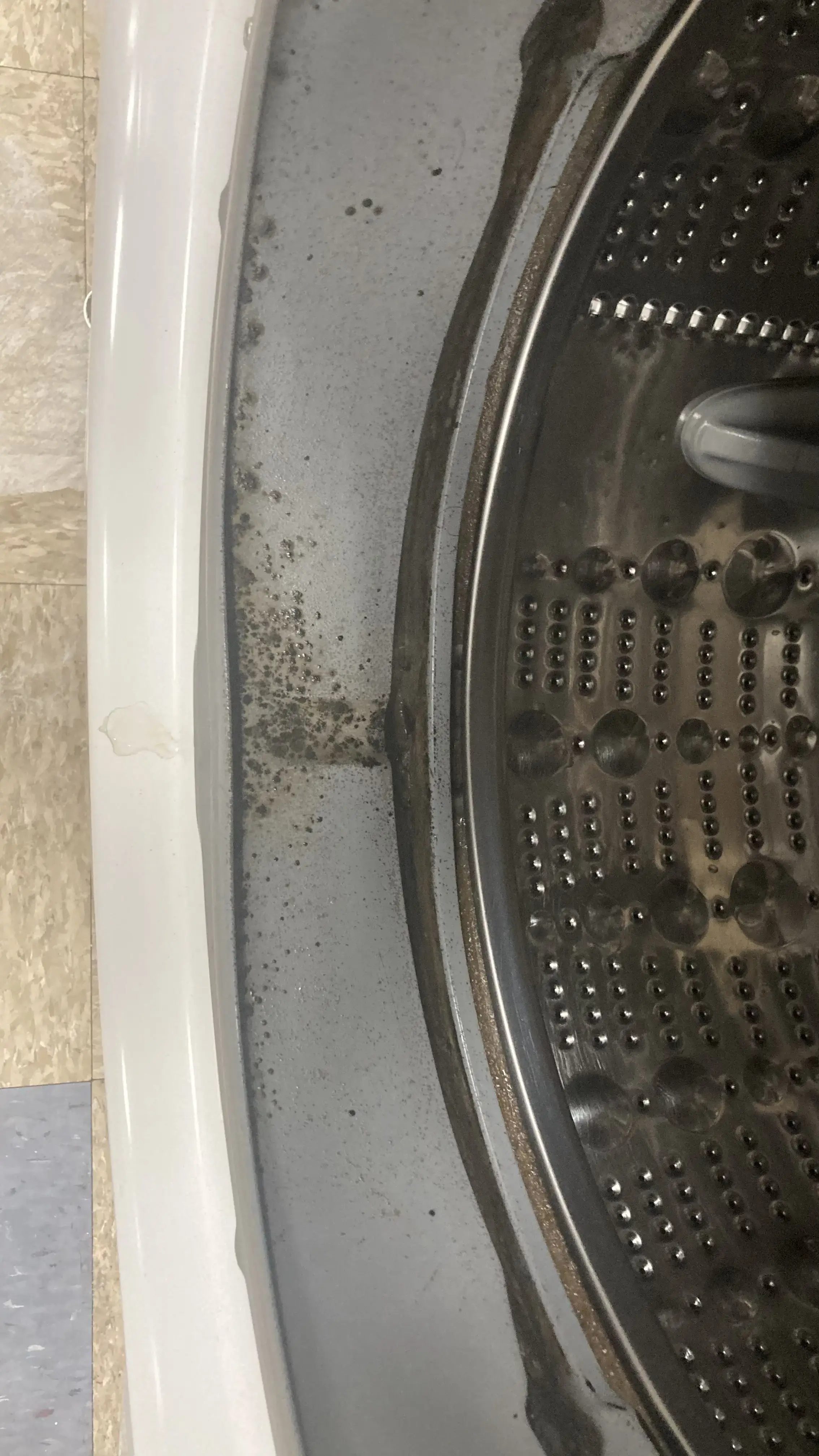 West Chester Laundromat thumbnail 3