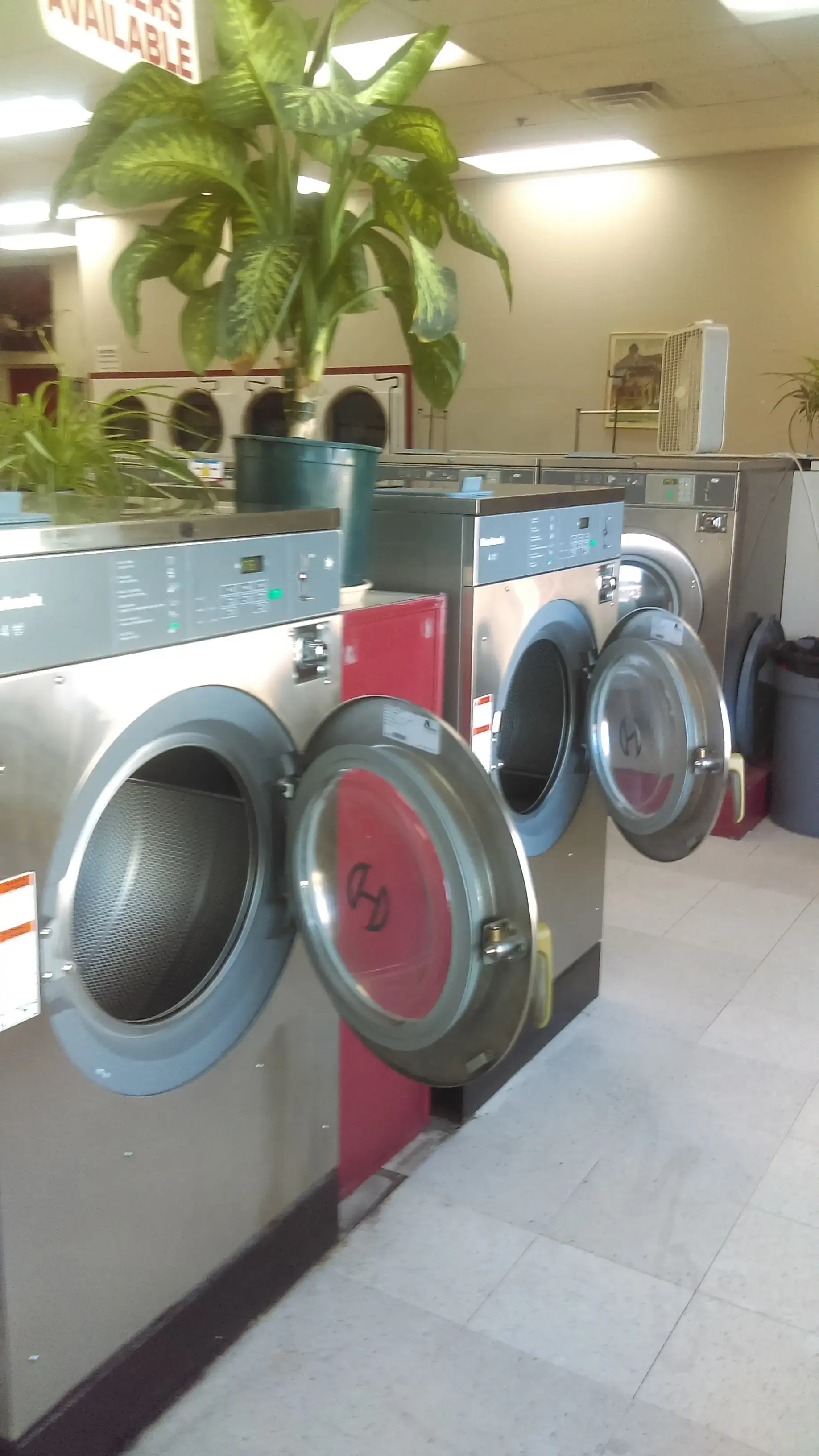 Westfield Eco Laundry thumbnail 15