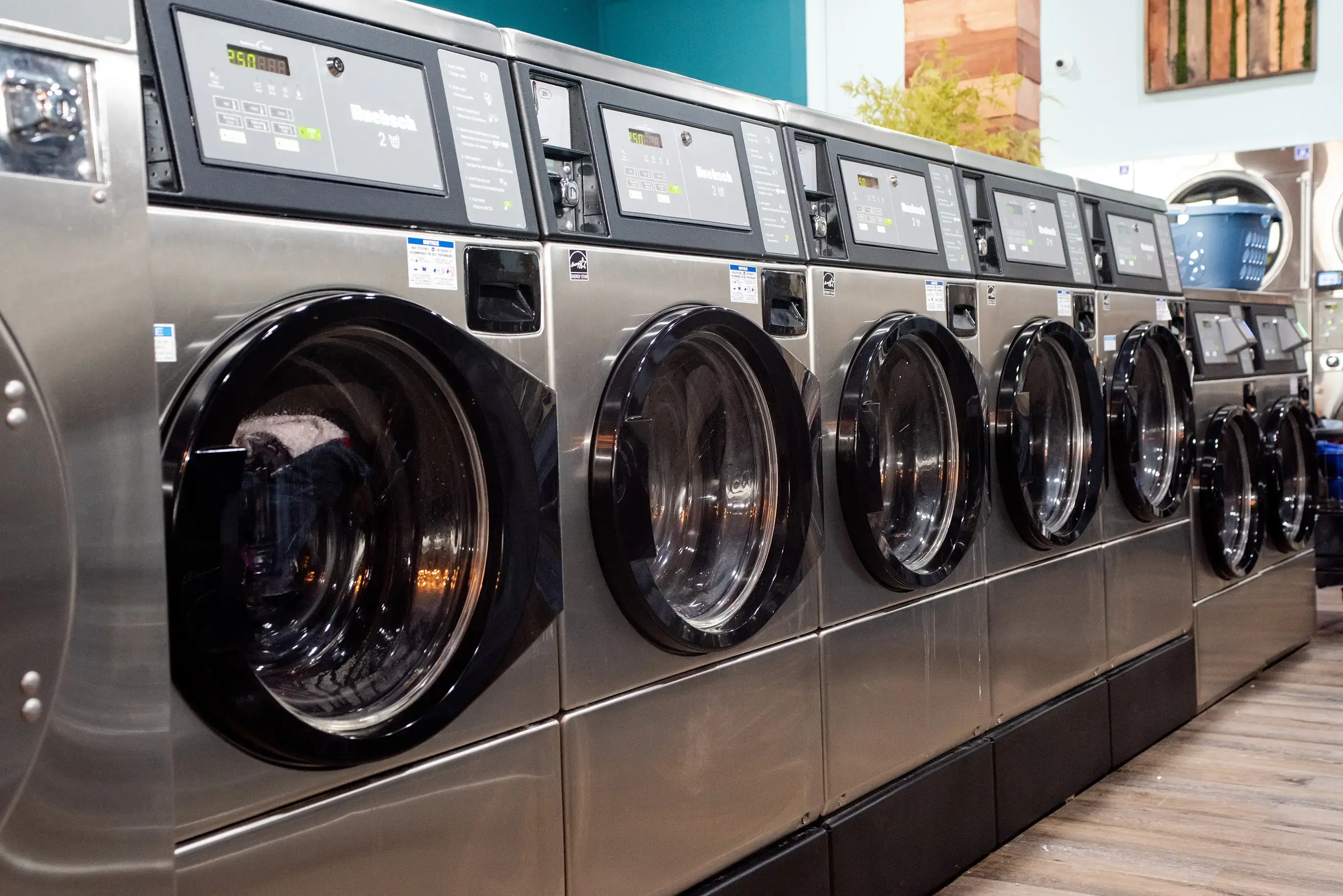 Westfield Eco Laundry thumbnail 16