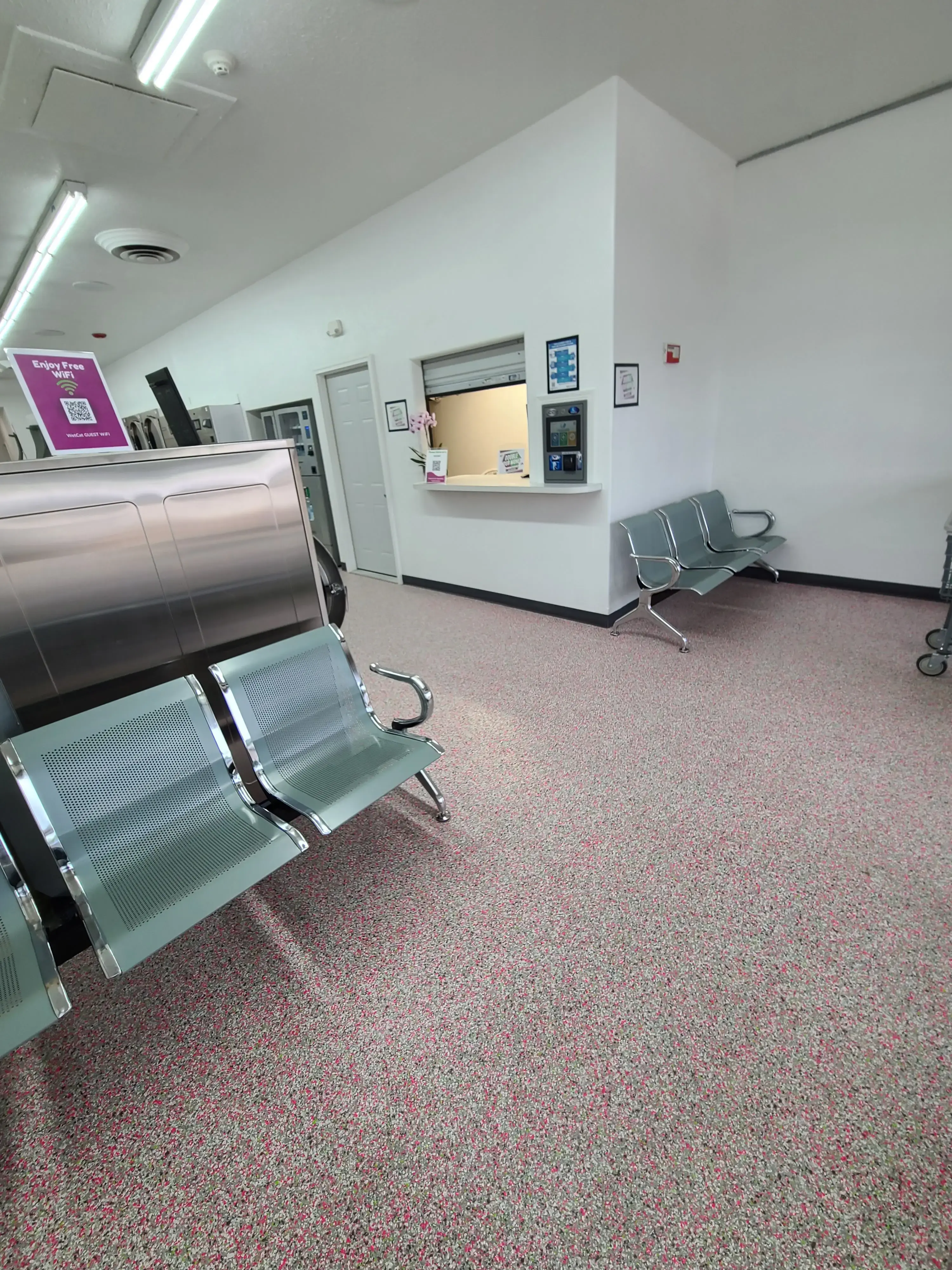 Wet Cat Laundromat - Image 15