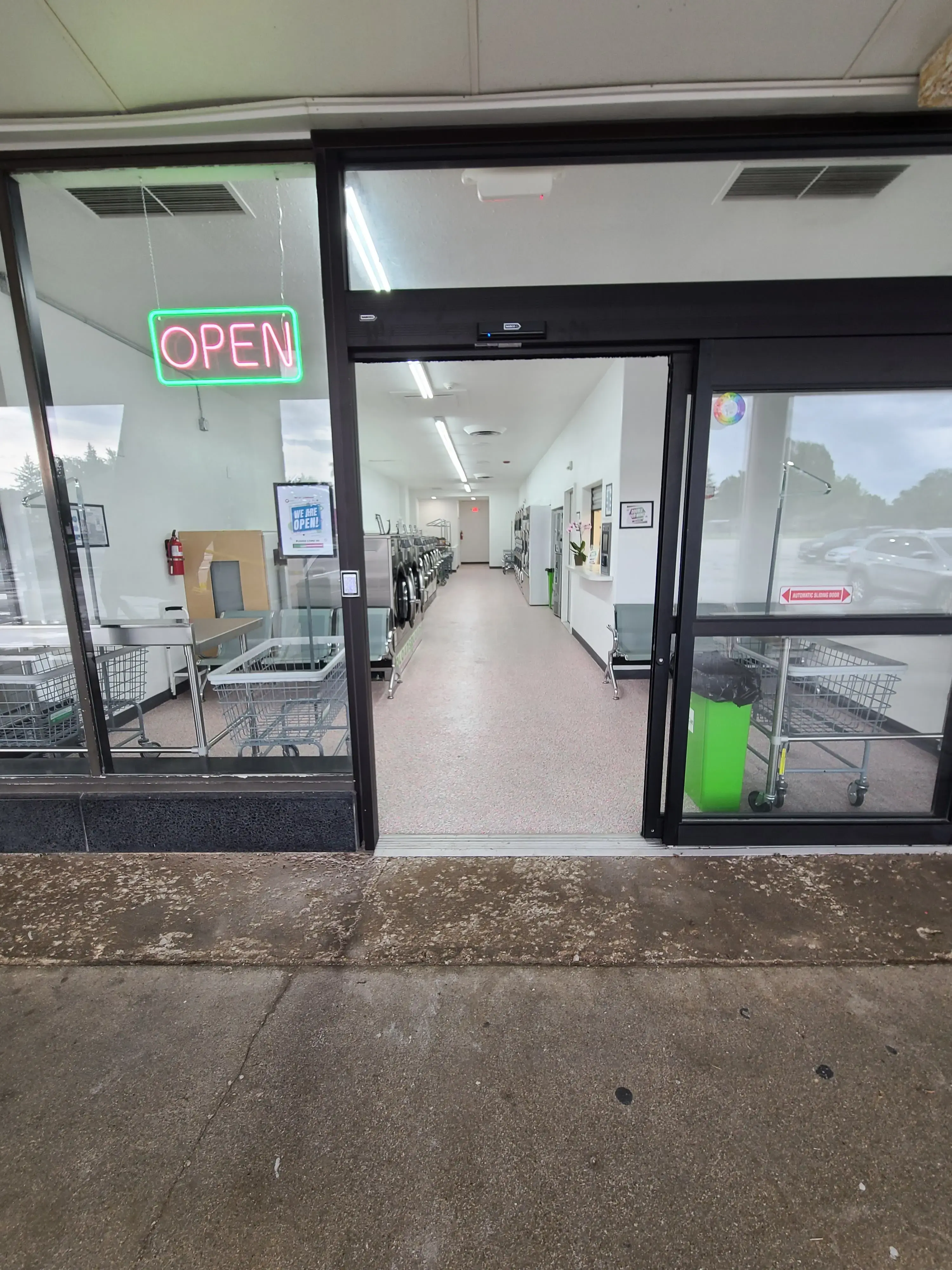 Wet Cat Laundromat thumbnail 10