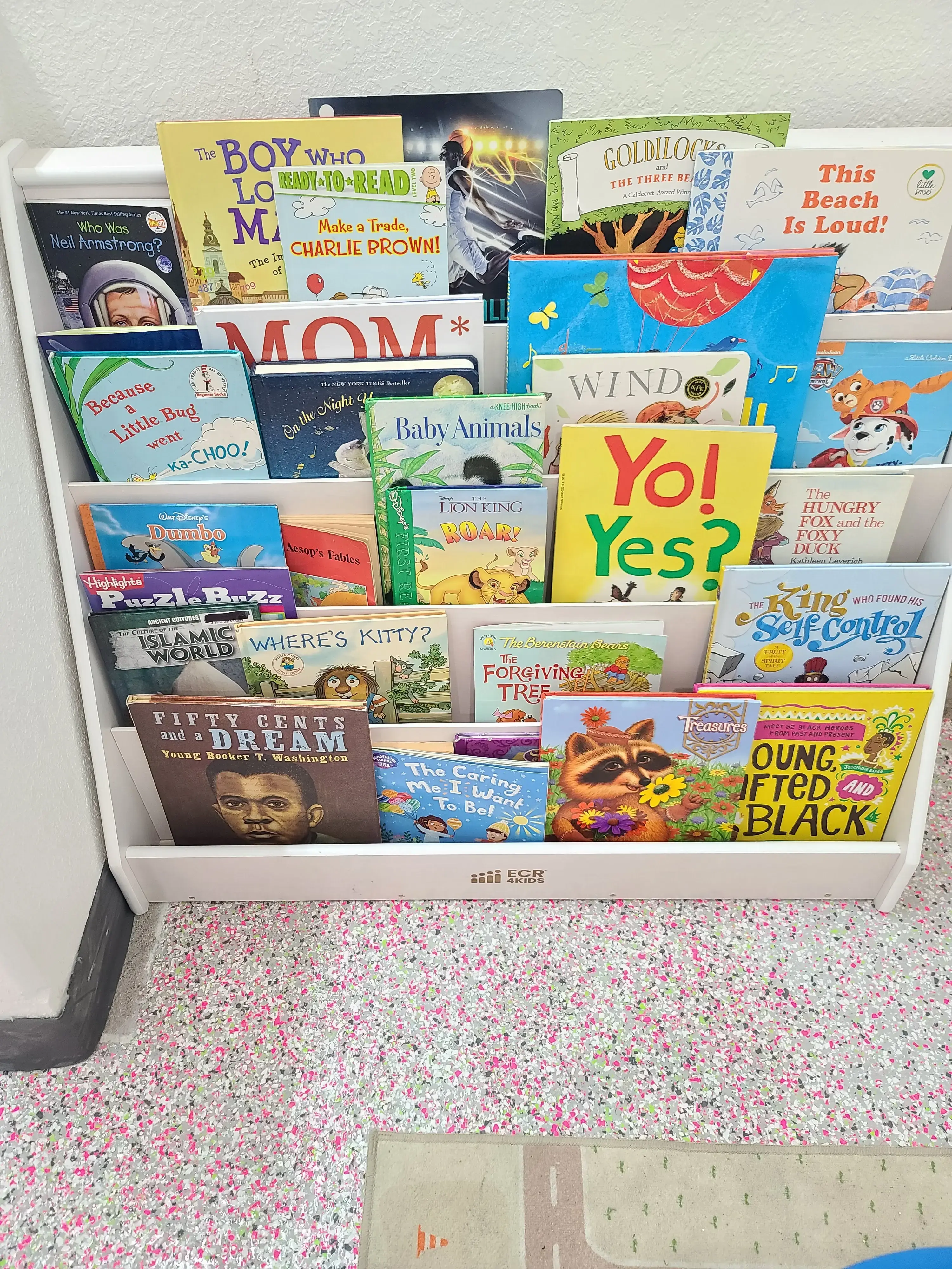 Wet Cat Laundromat - Image 14