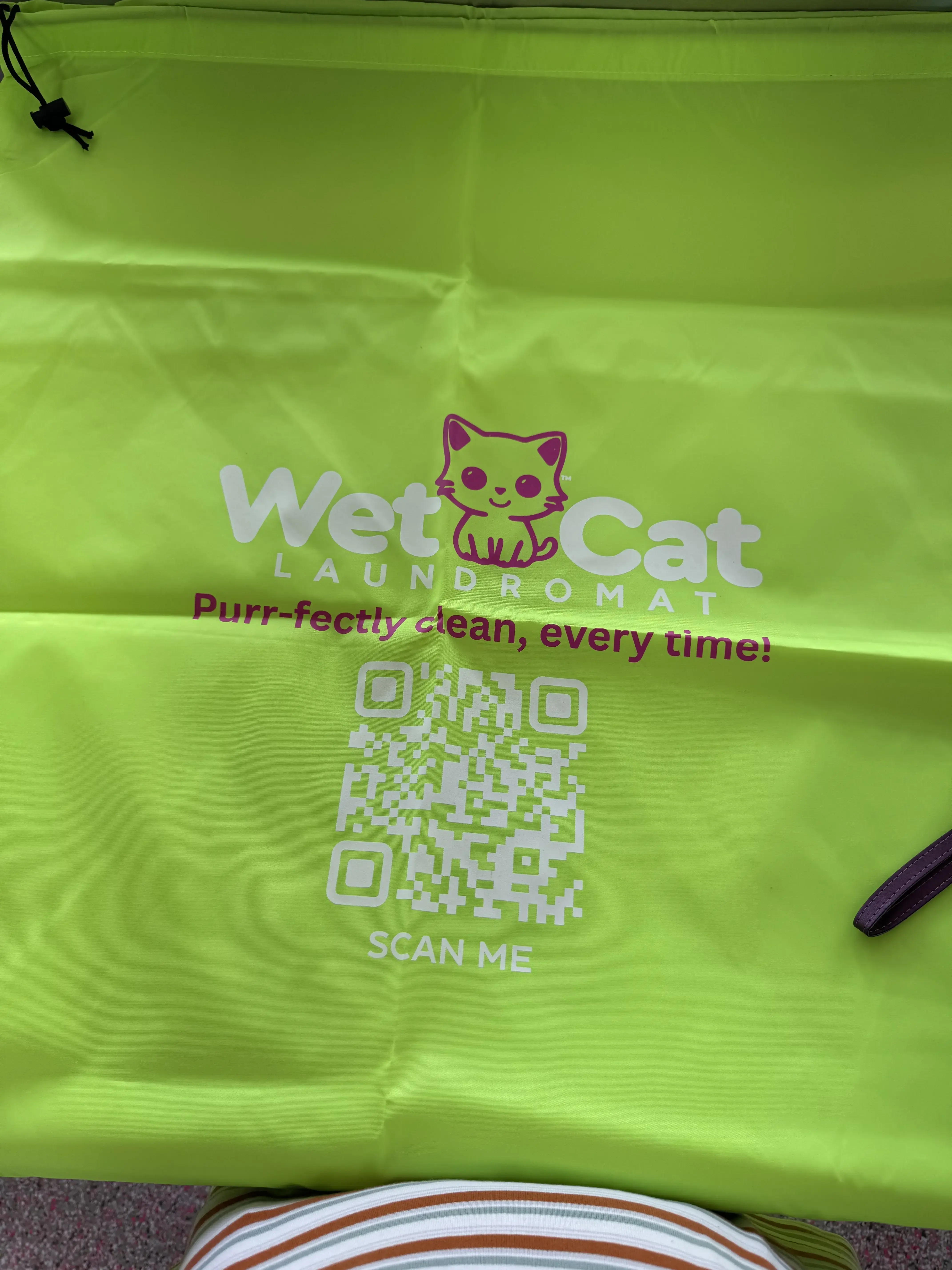 Wet Cat Laundromat - Image 11