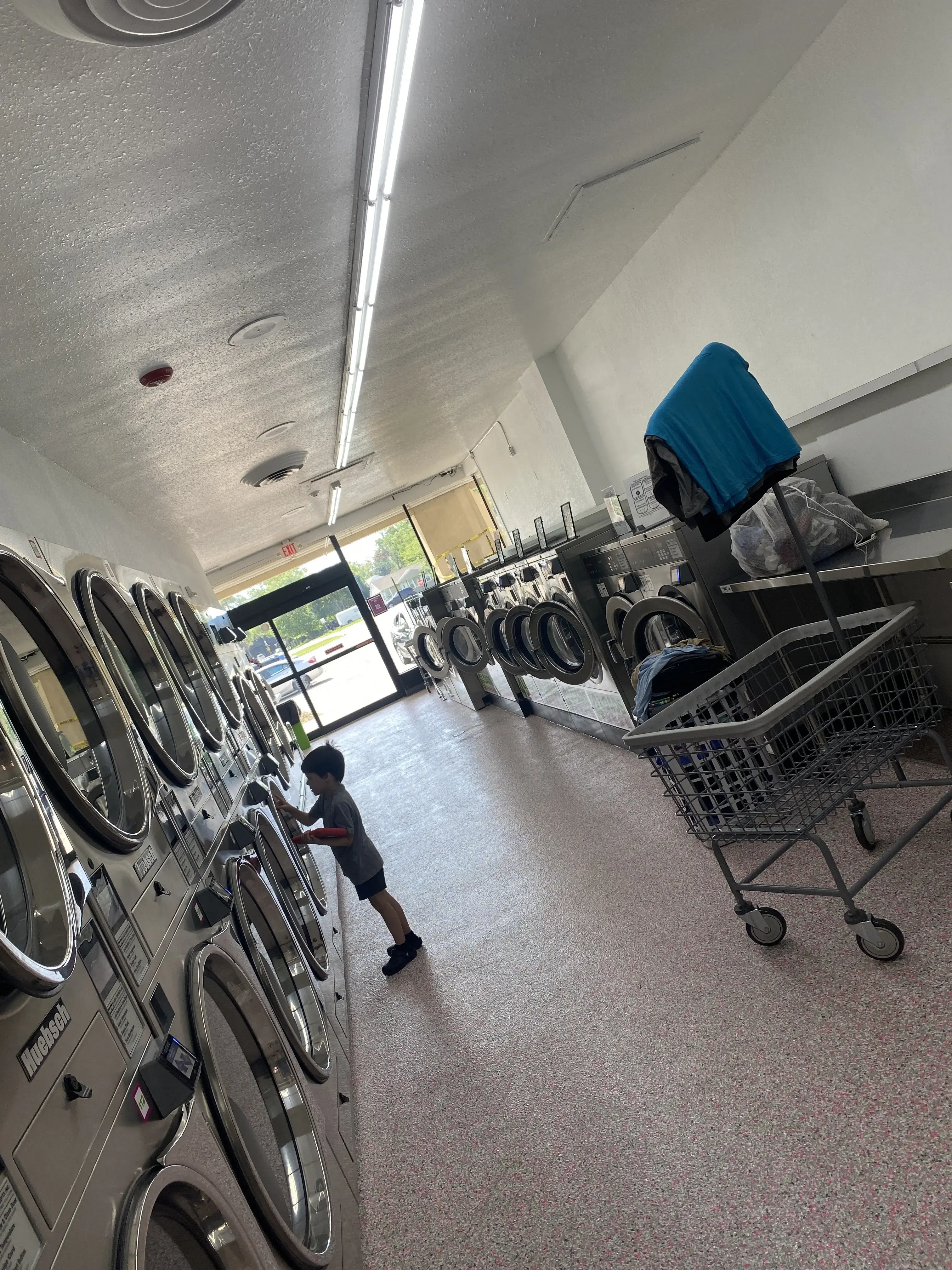 Wet Cat Laundromat - Image 16