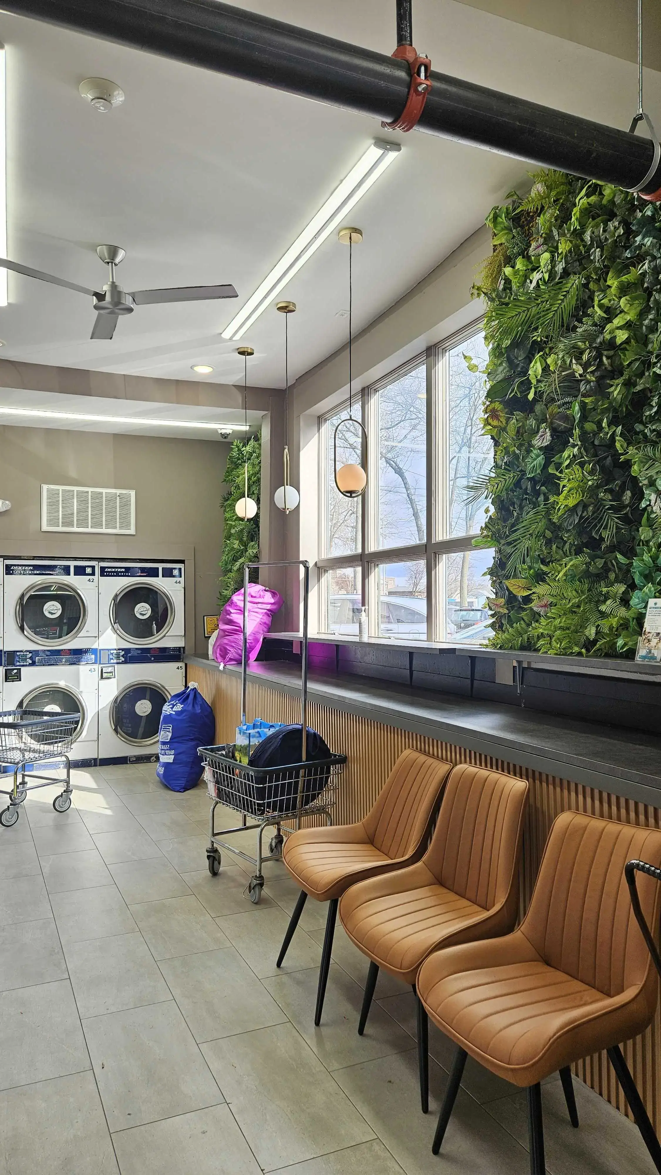 WeWash Laundry thumbnail 1