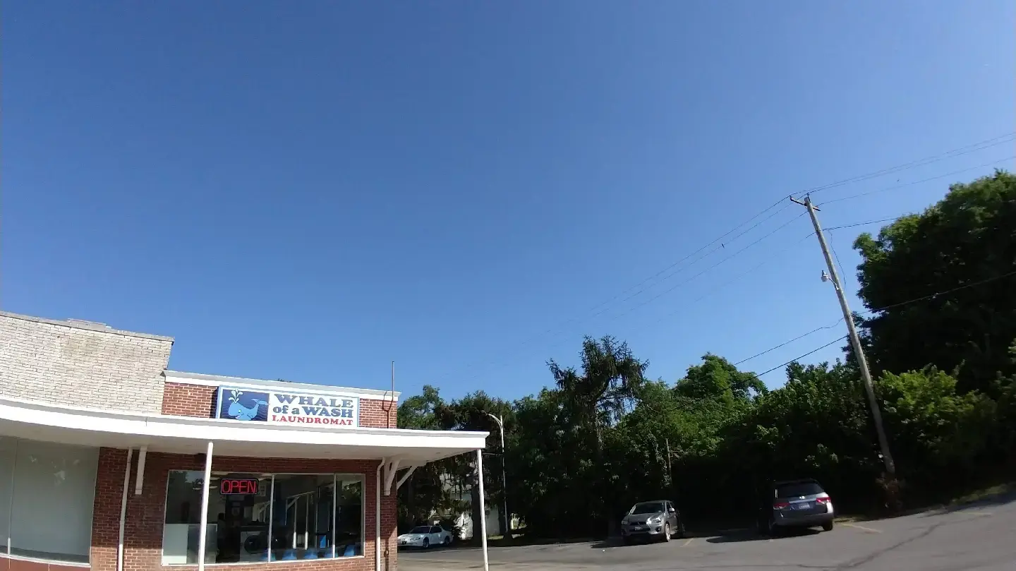 Whale of a Wash Laundromat thumbnail 3