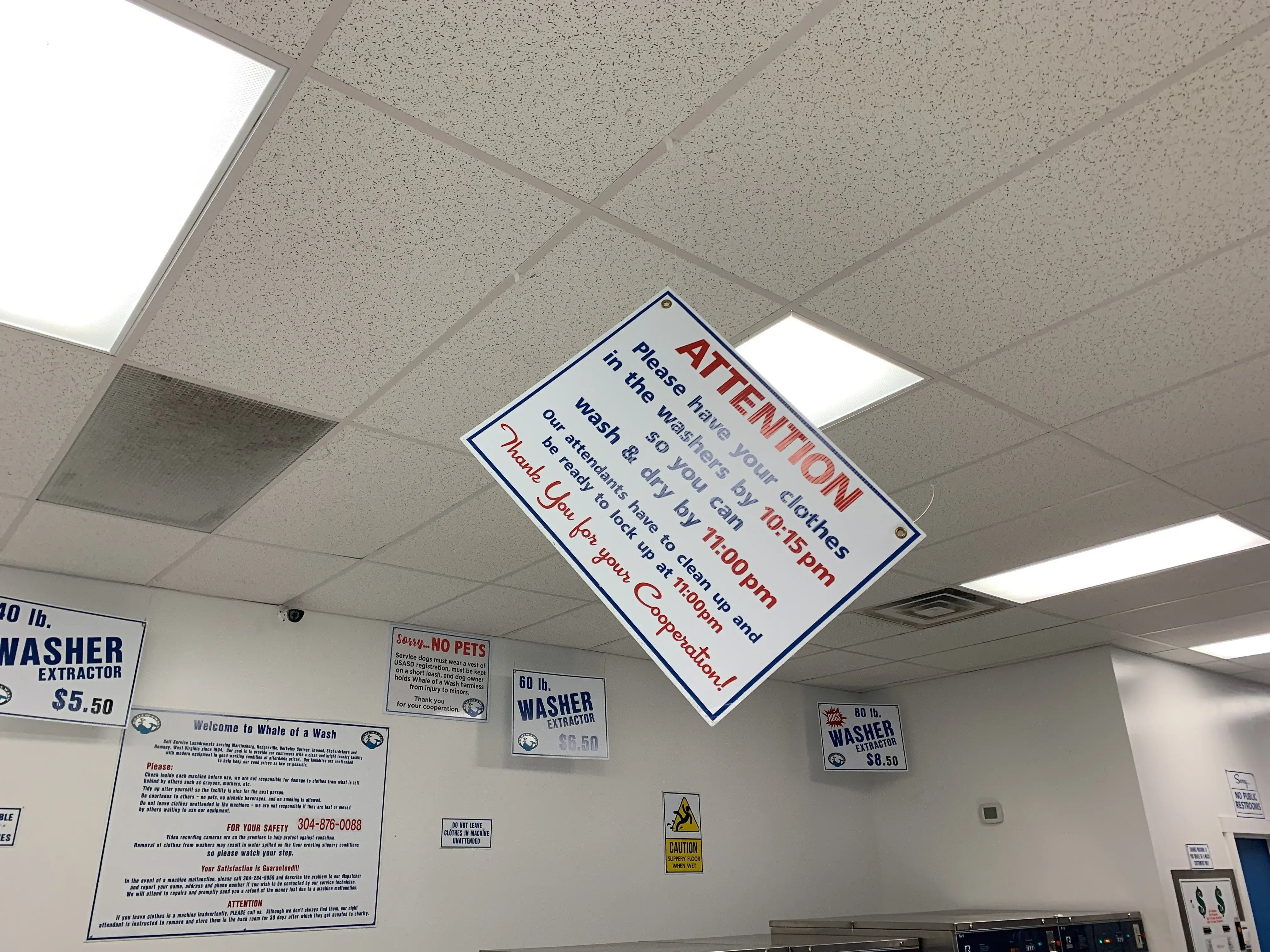 Whale of a Wash Laundromat thumbnail 10